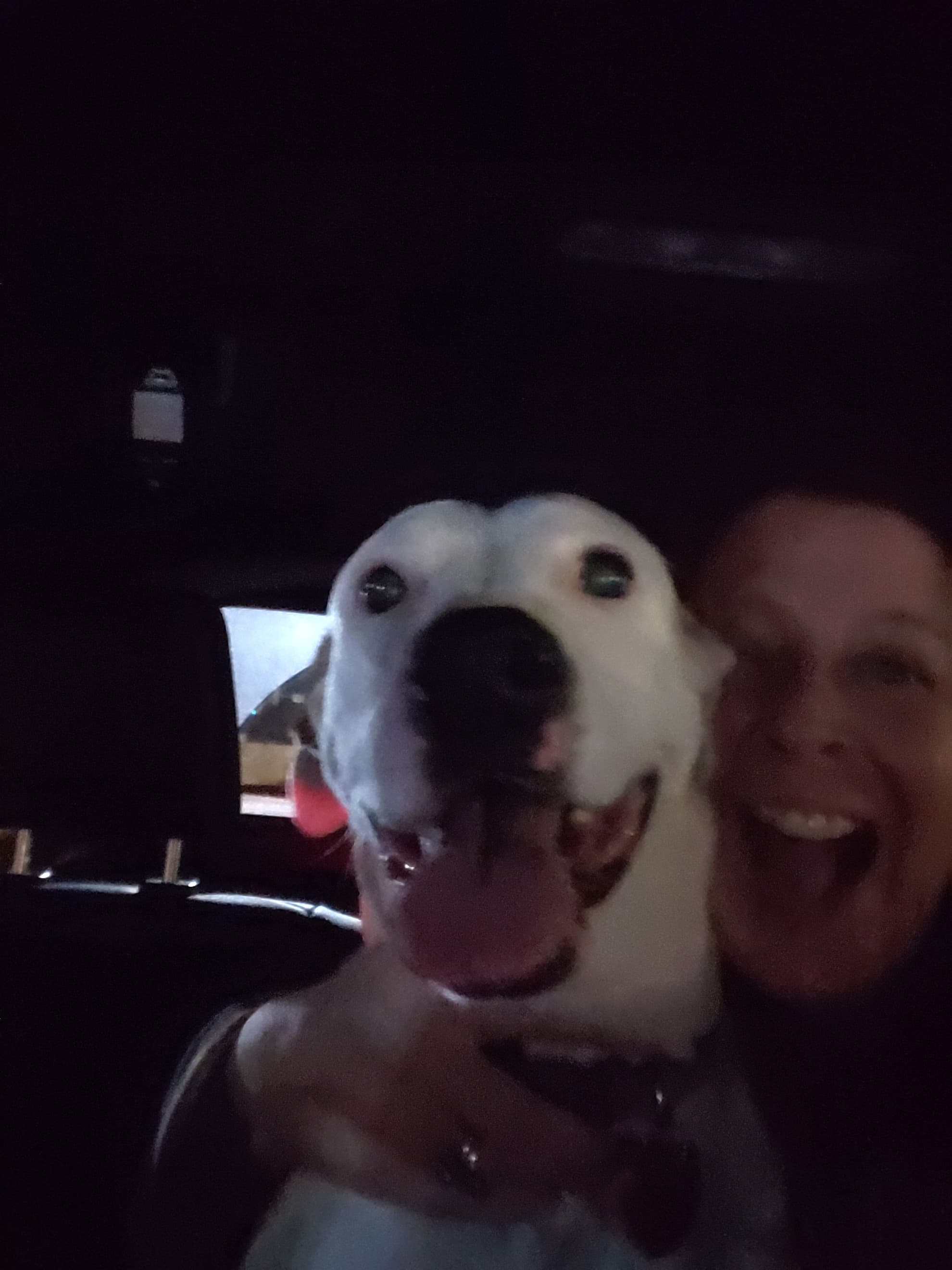 Pinky, back home in Missouri