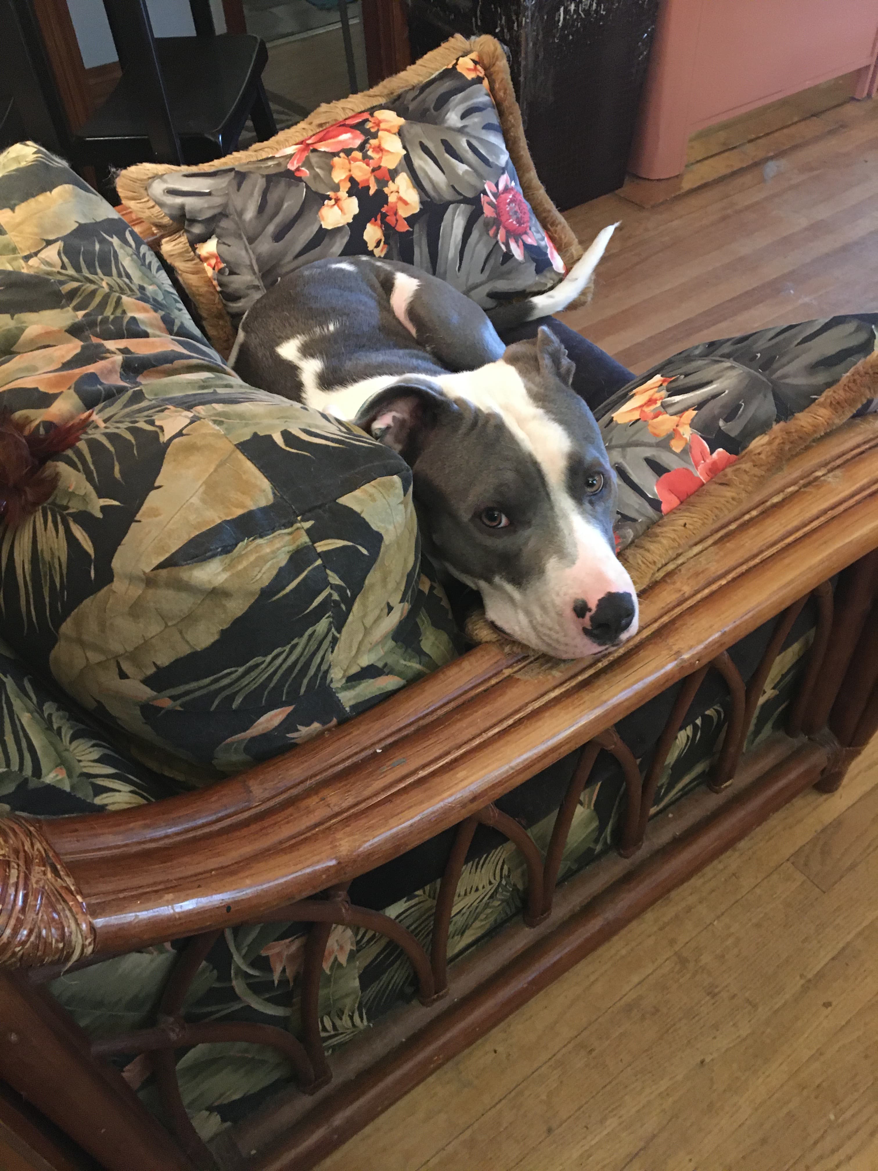 Griffin, back home in Oklahoma