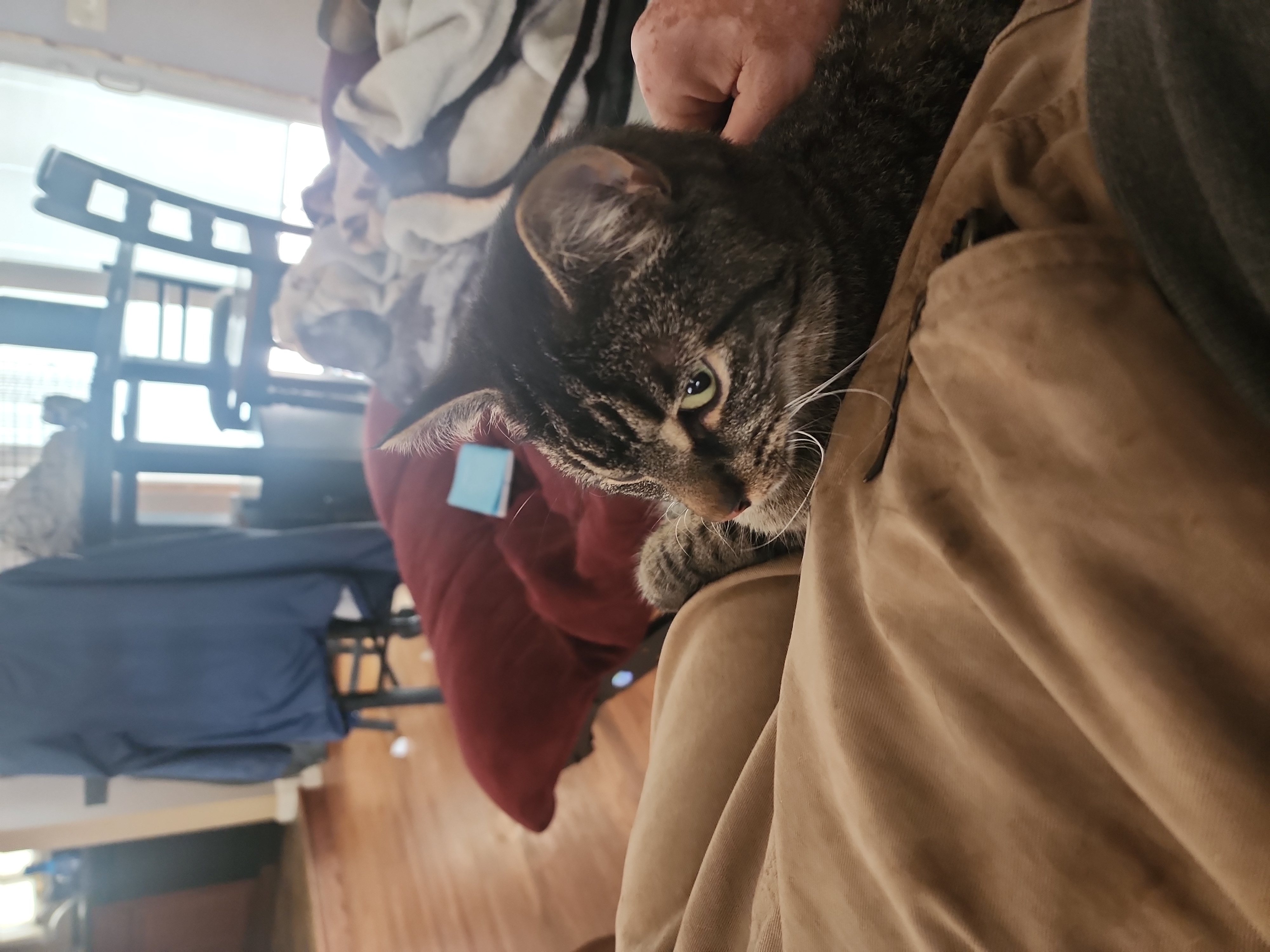 Max, back home in New York