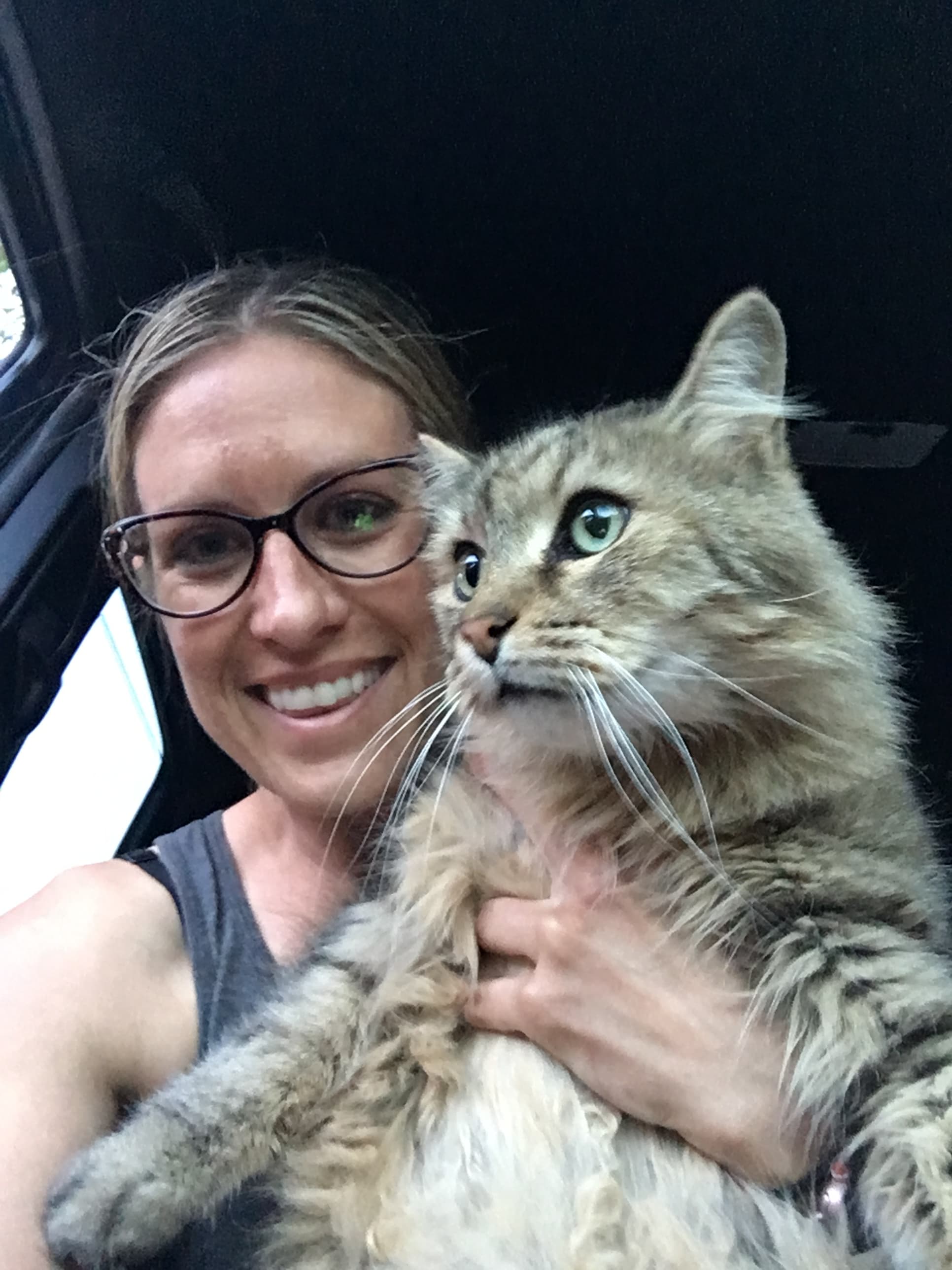Spaghetti, back home in Colorado