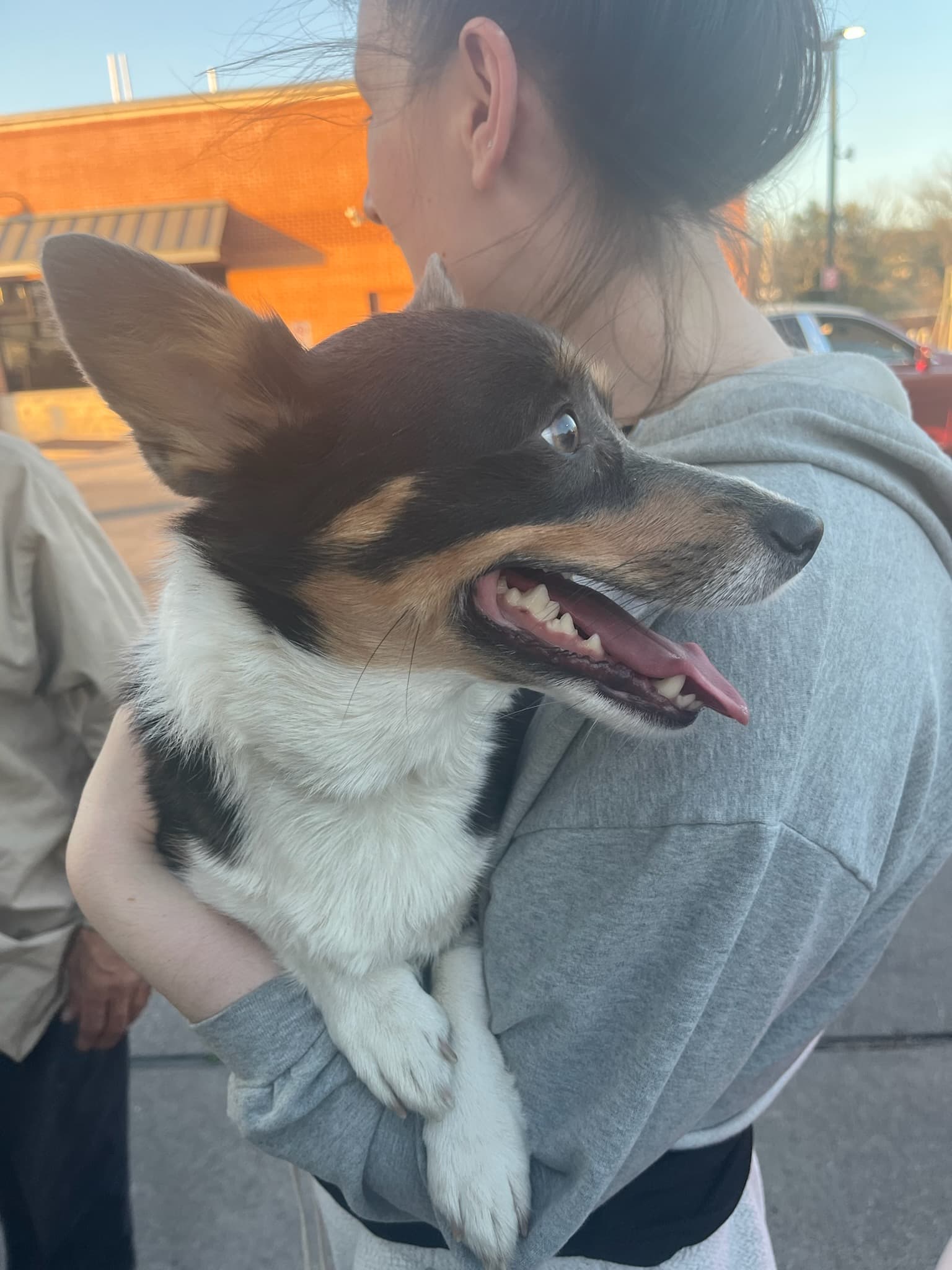 Hana, back home in Texas