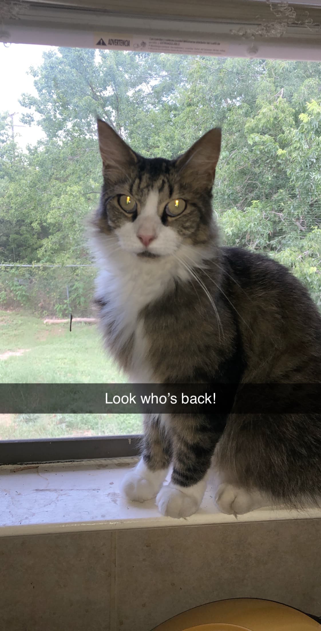 The Doctor, back home in Harker Heights TX