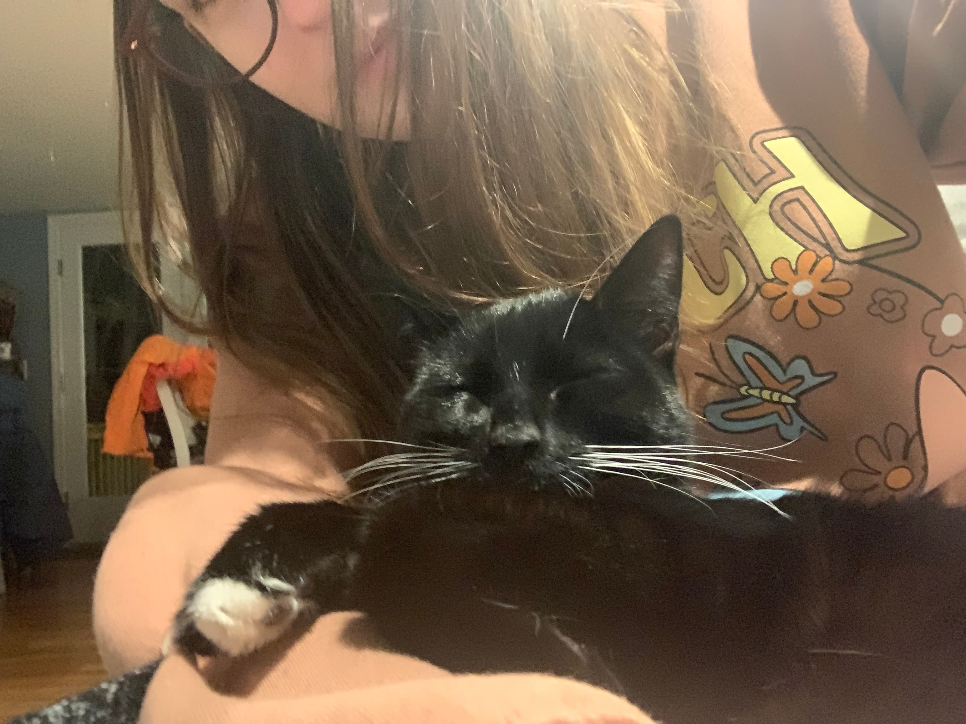 Jiji, back home in Massachusetts