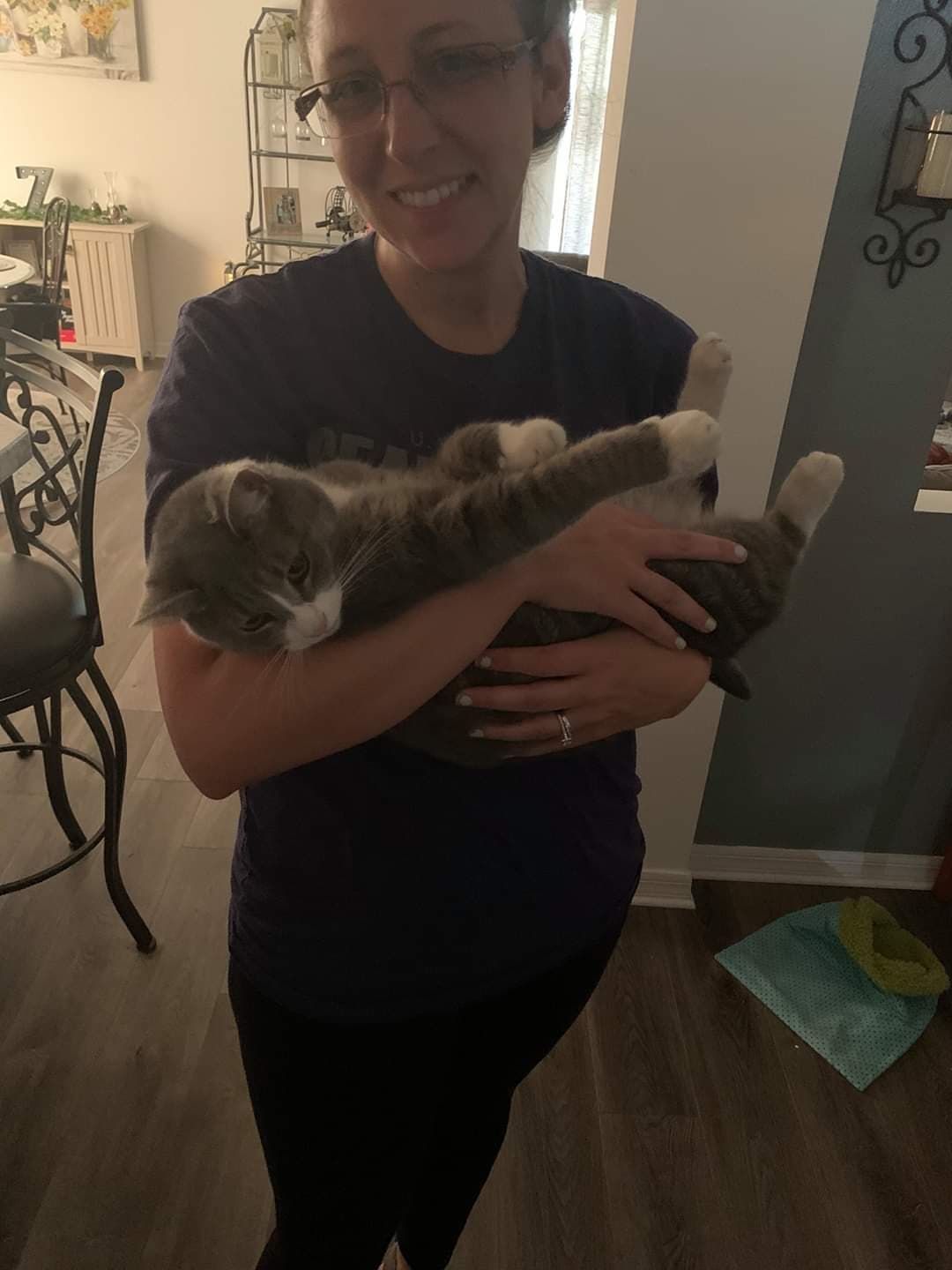 Merlin, back home in Florida