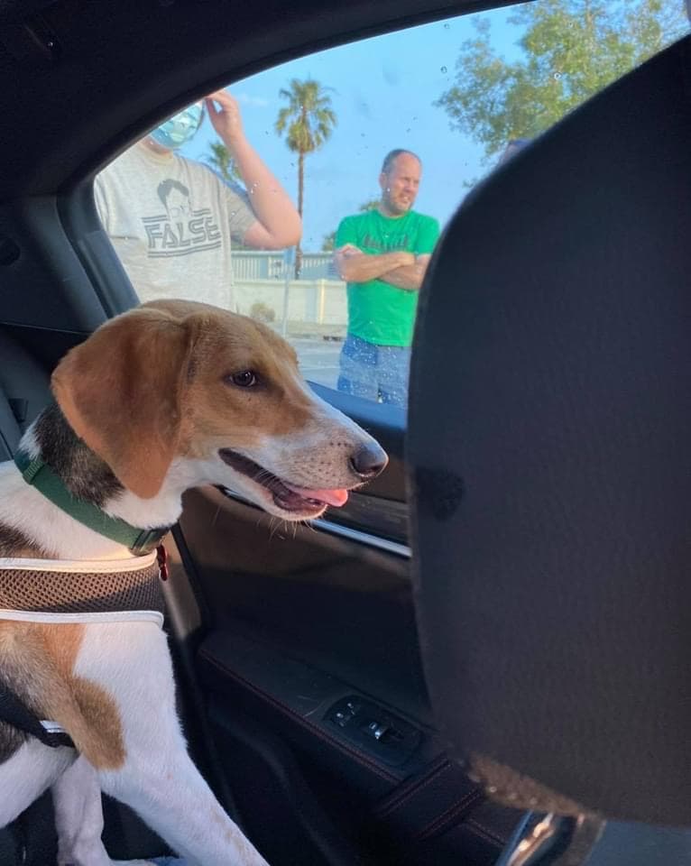 Henry, back home in Florida