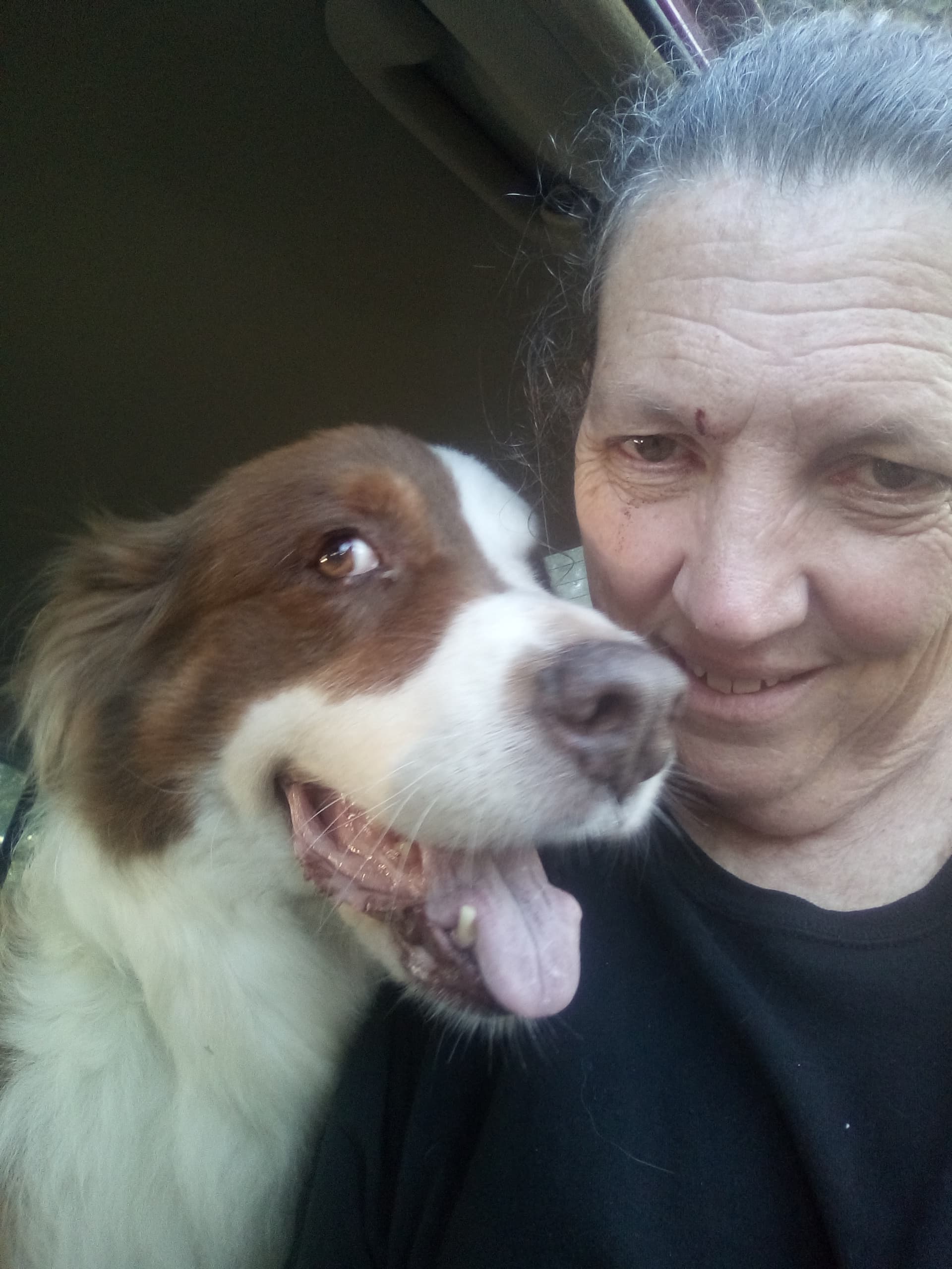 coda, back home in Morristown TN TN