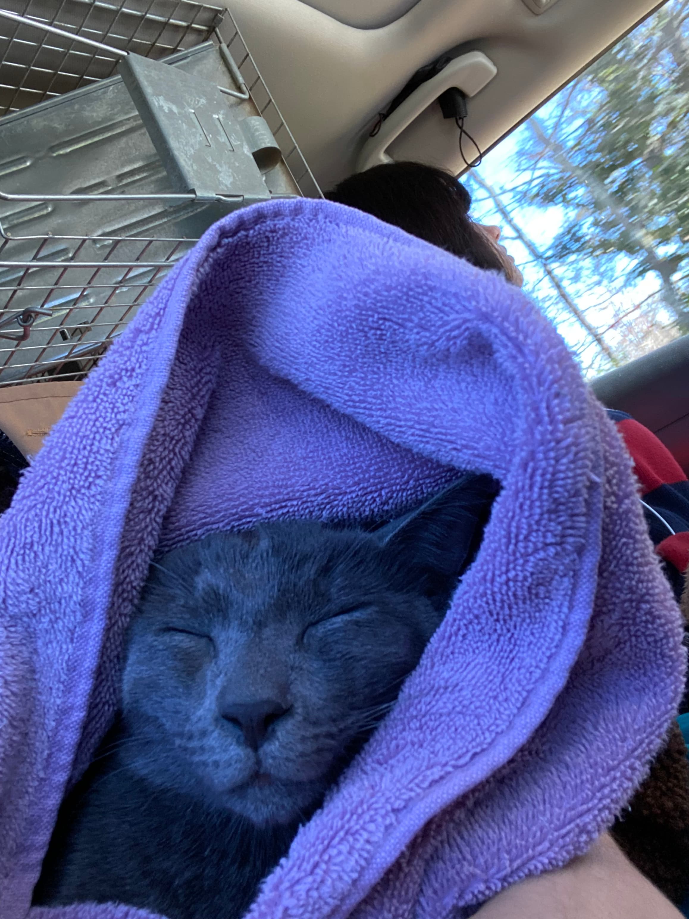 Yuri, back home in Tennessee