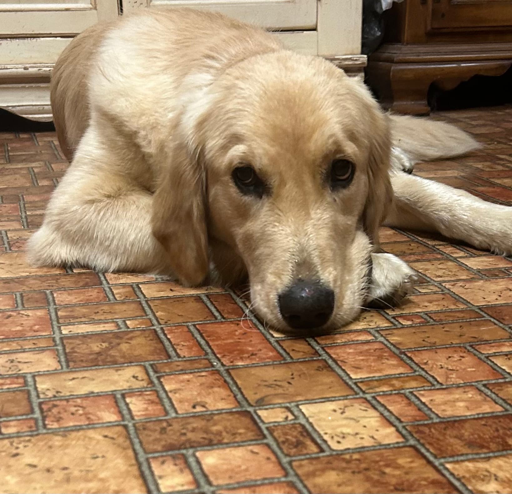 Lady Grace Barnes, back home in Alabama