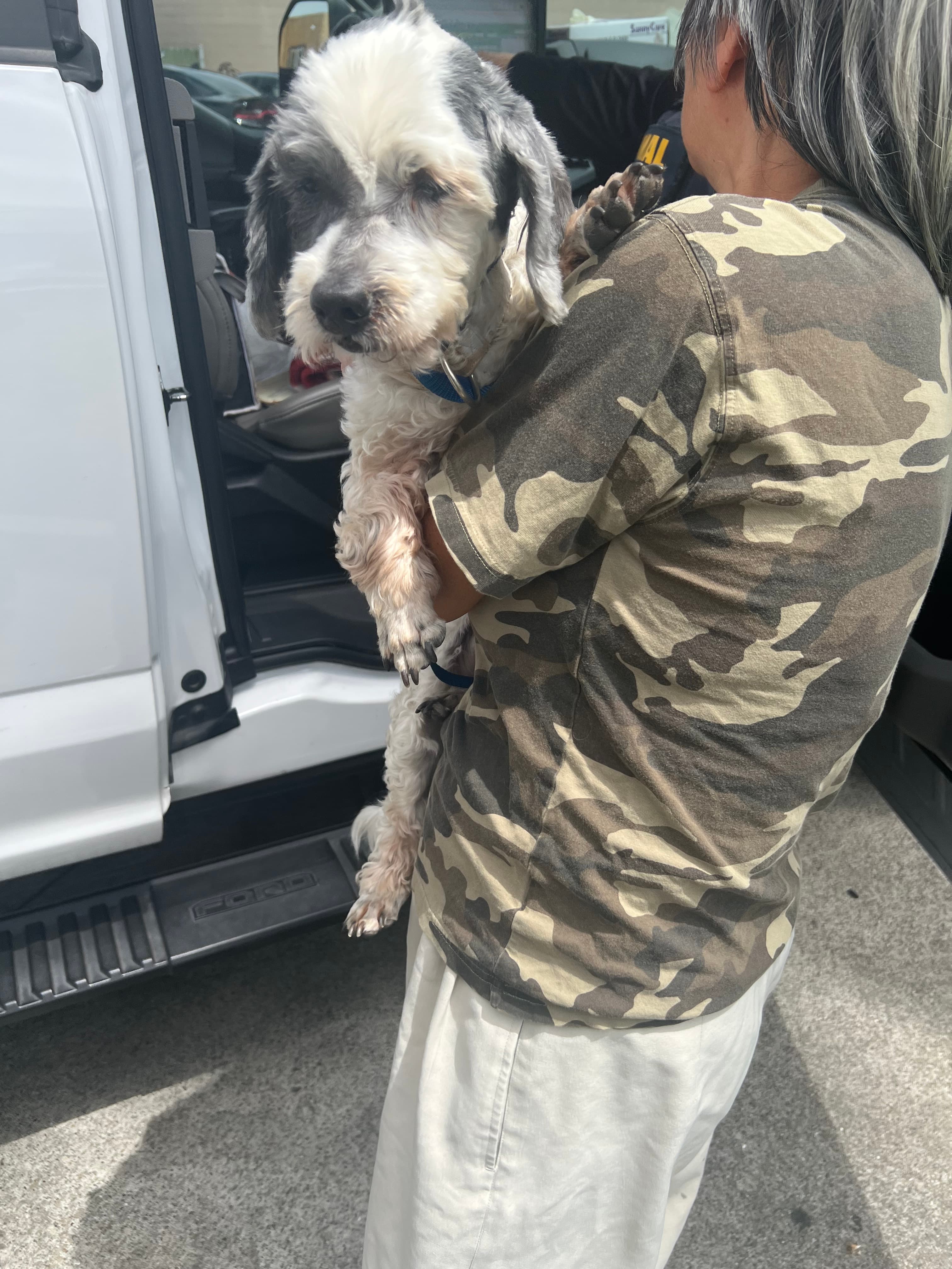 Lucky, back home in California