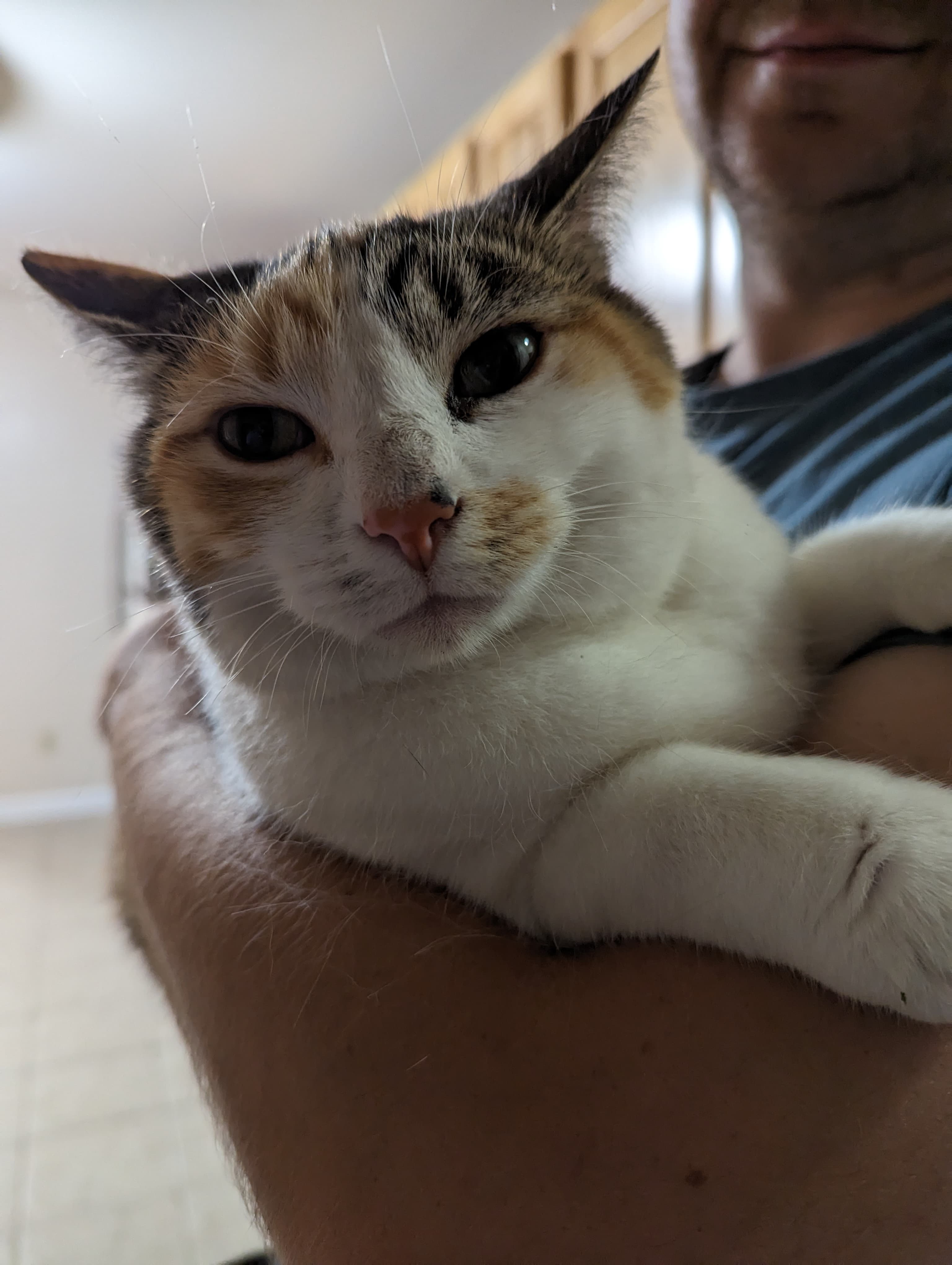 Ada, back home in Ohio