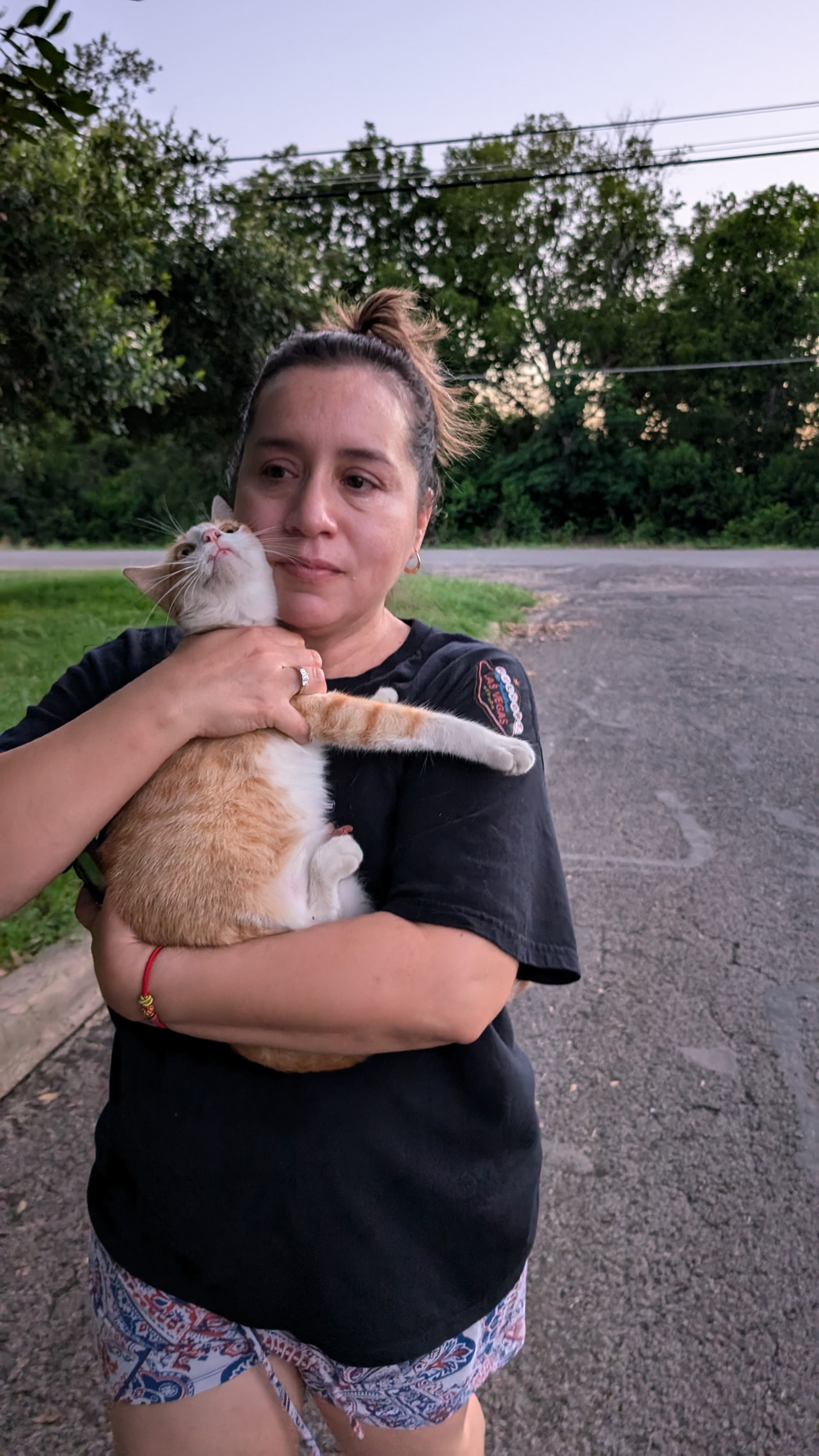 Mango, back home in Texas