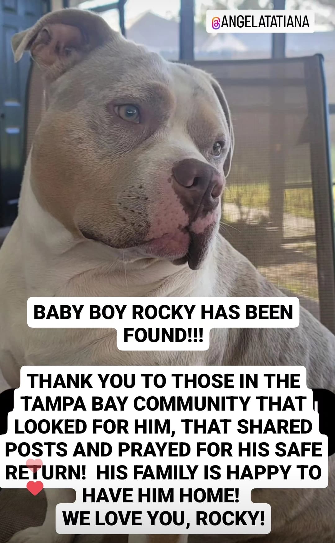 Rocky, back home in Florida
