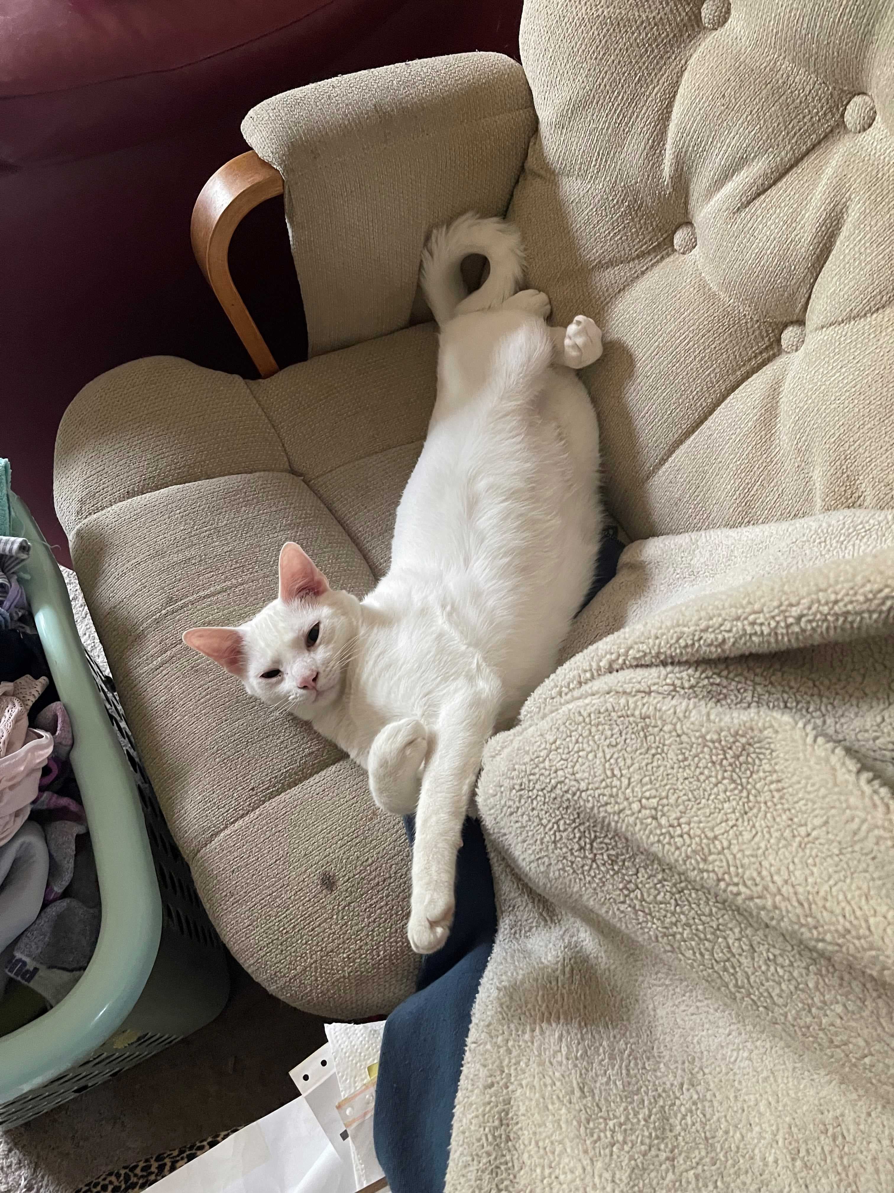 Casper, back home in Ohio
