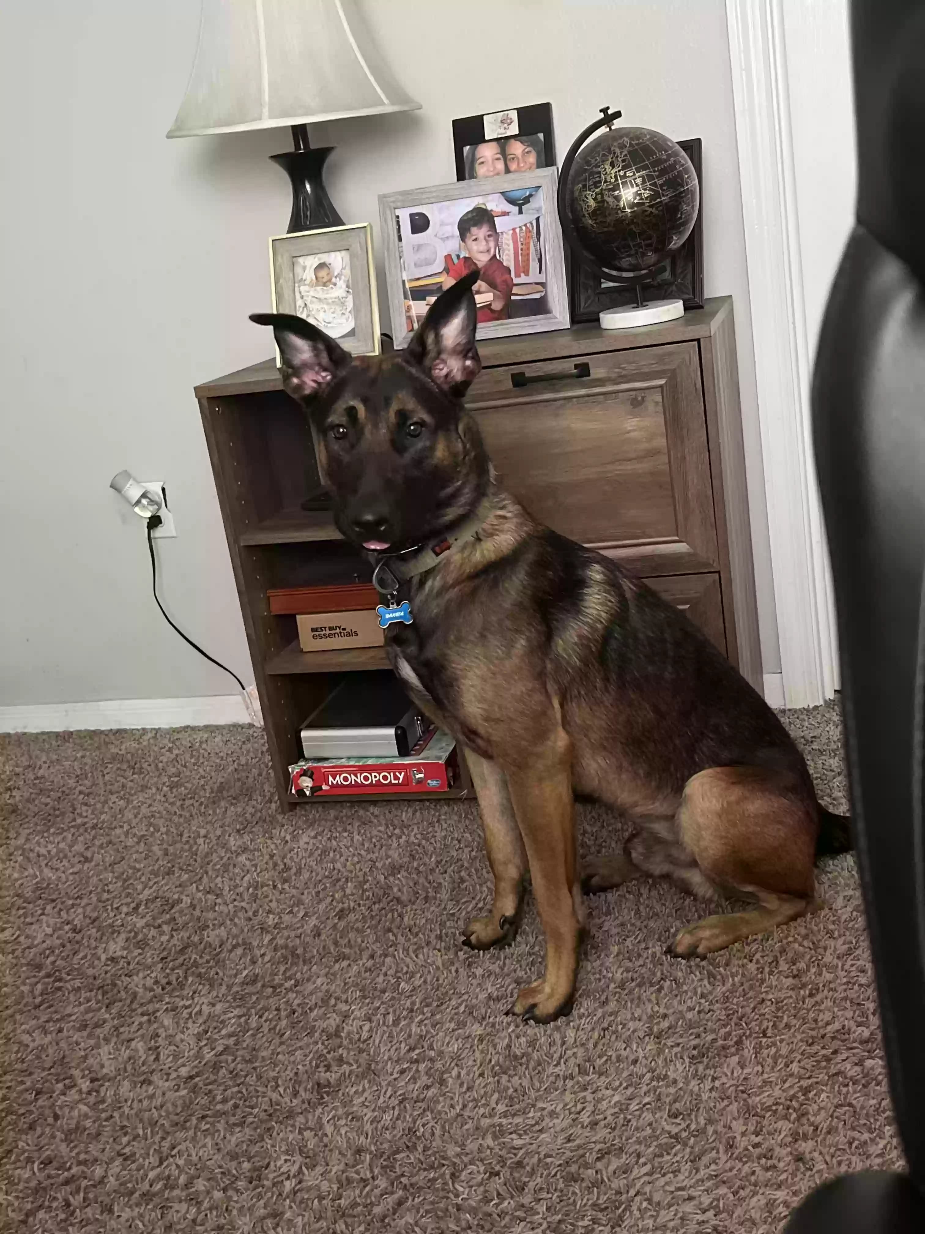 Dakota, back home in Florida