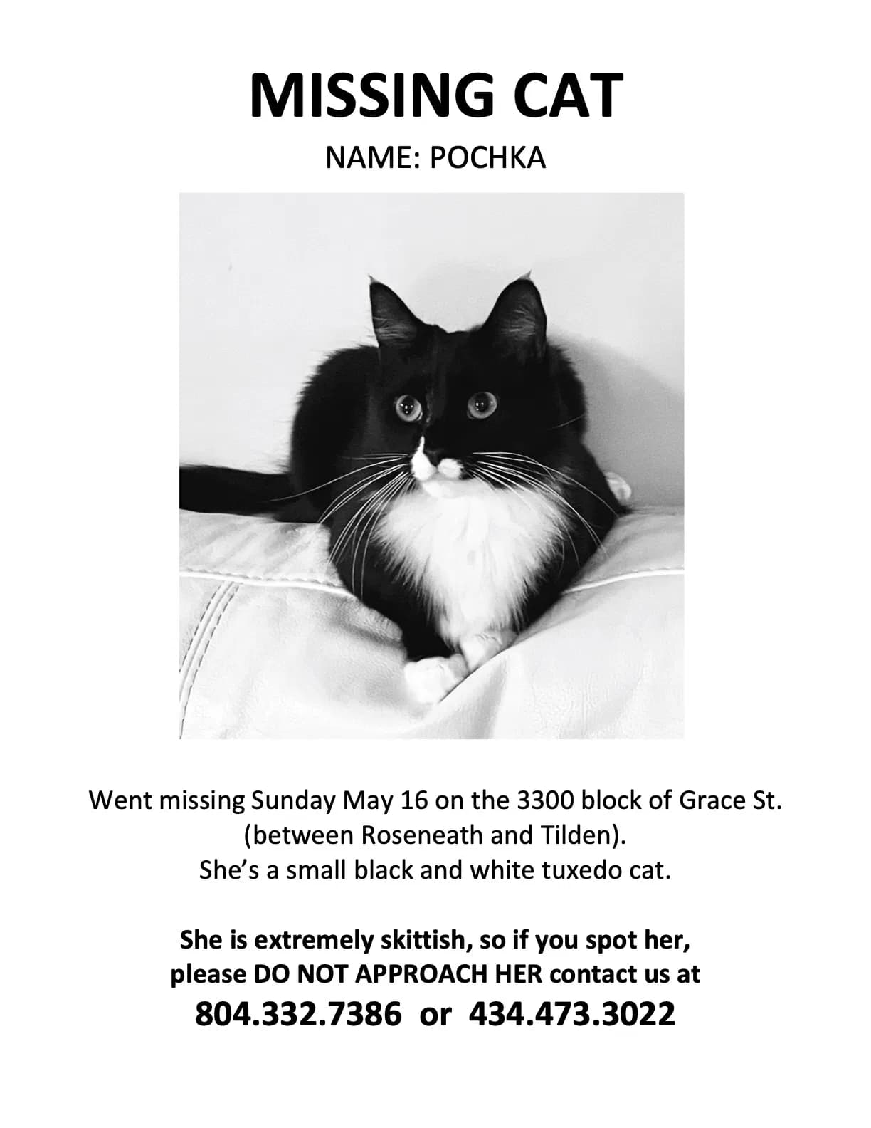 Pochka, back home in Virginia