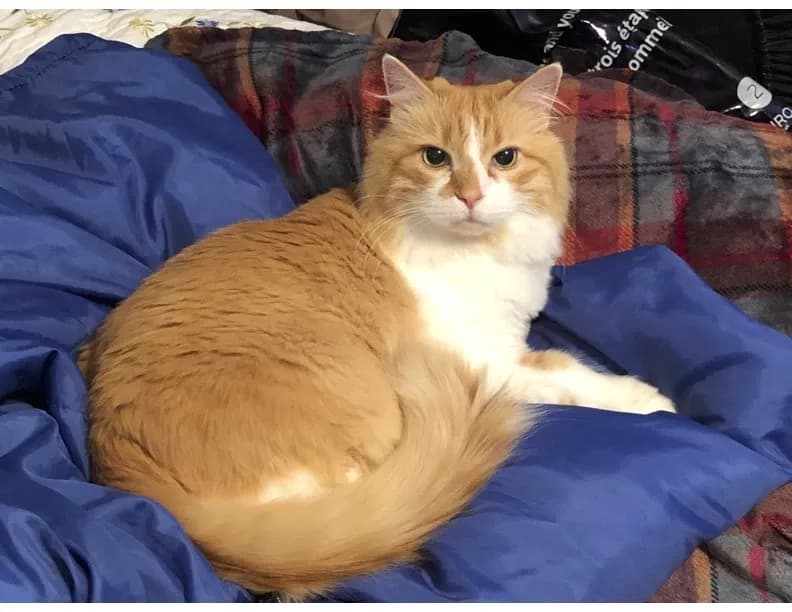 Artie, back home in Alabama