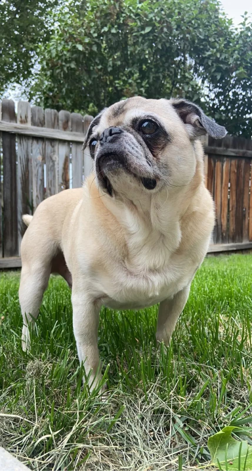 Bozley, back home in Idaho