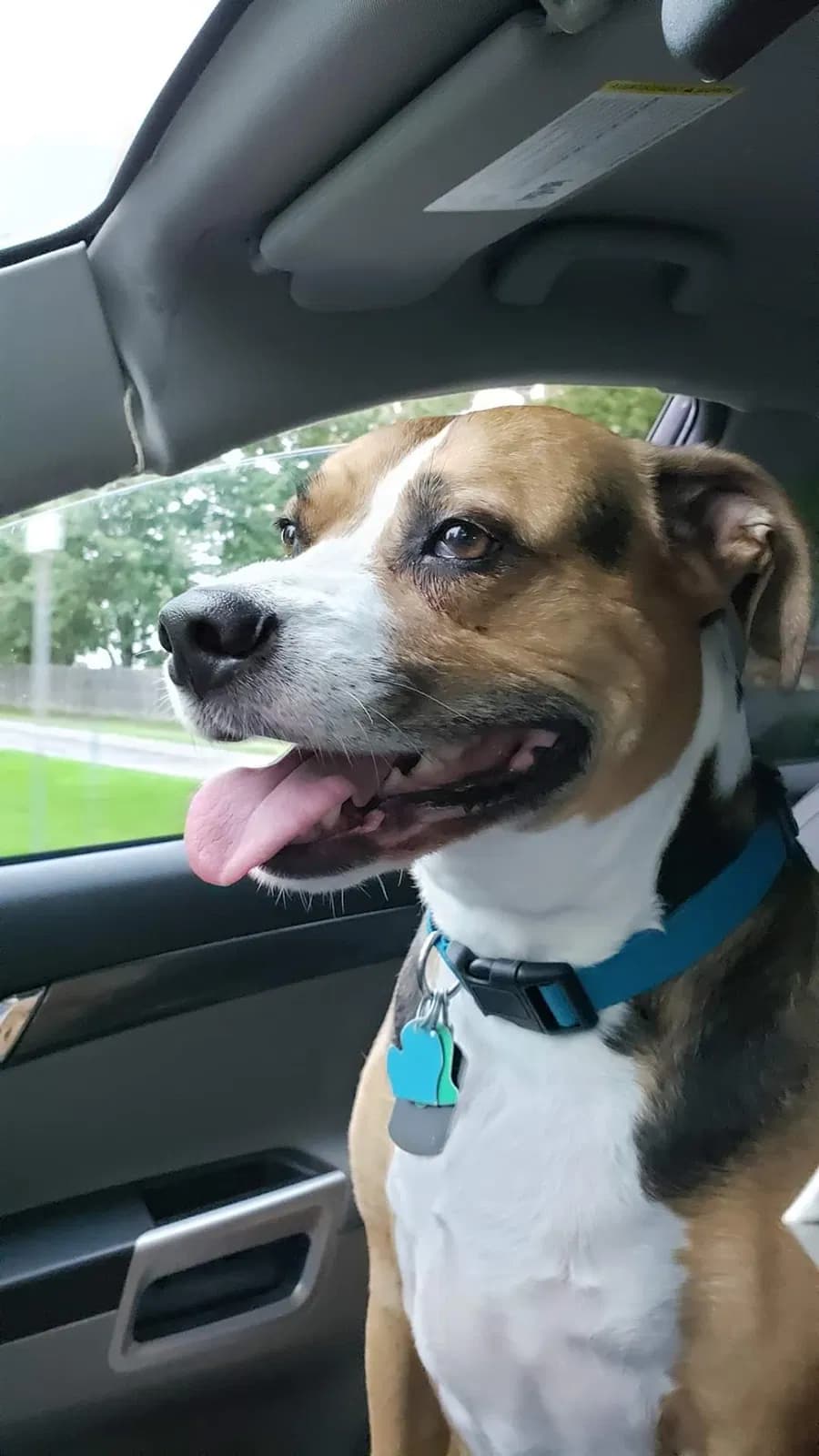 Stanley, back home in Michigan