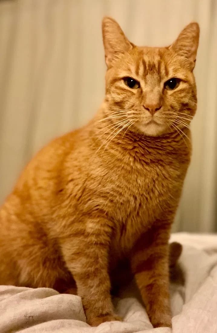 George, back home in California