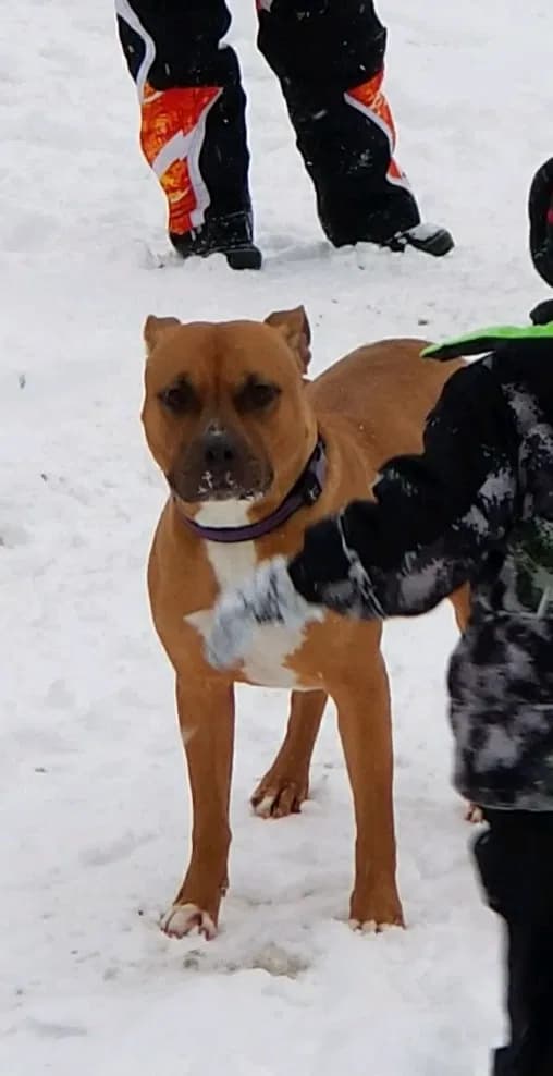 Bailee, back home in Minnesota