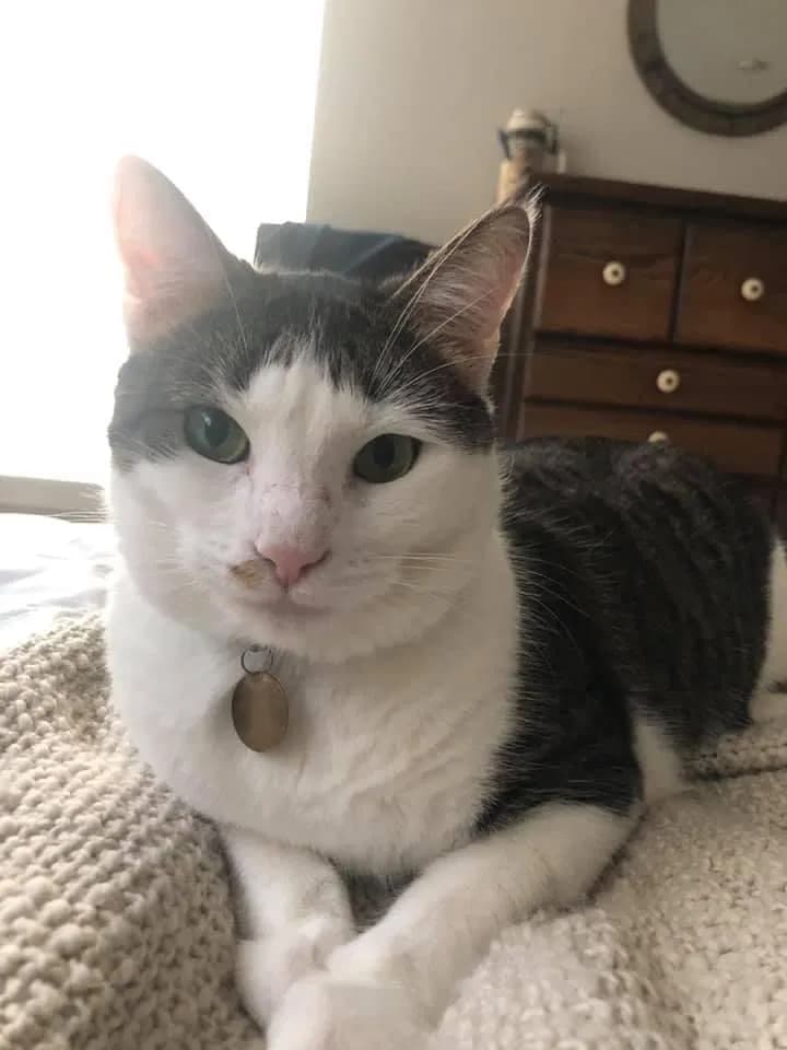 Baguette, back home in Florida