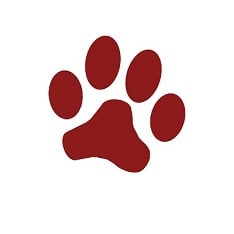 adoptable Dog in Murfreesboro, TN named Ben