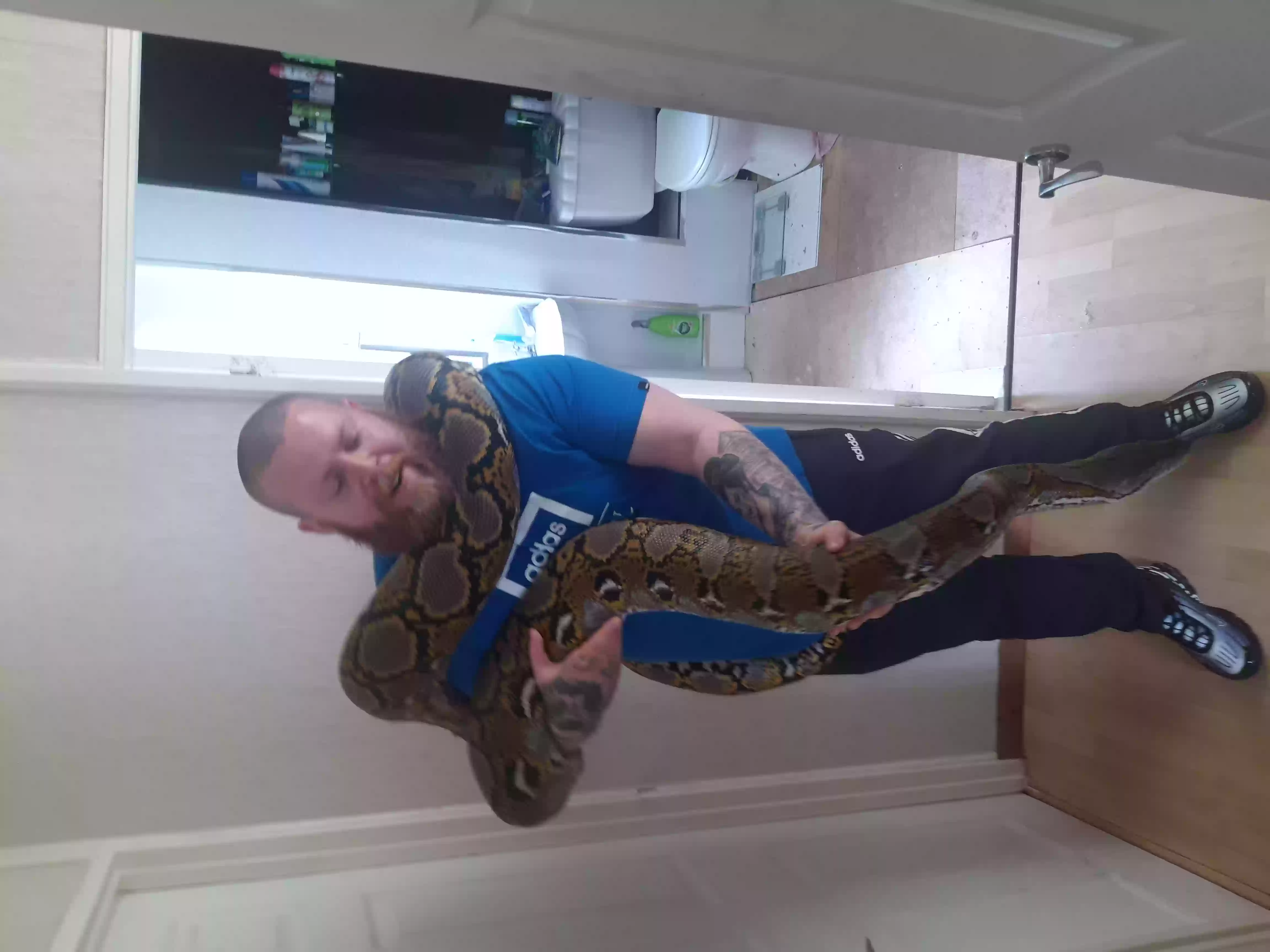 adoptable Reptile in Newcastle Upon Tyne,England named Geordie and annie