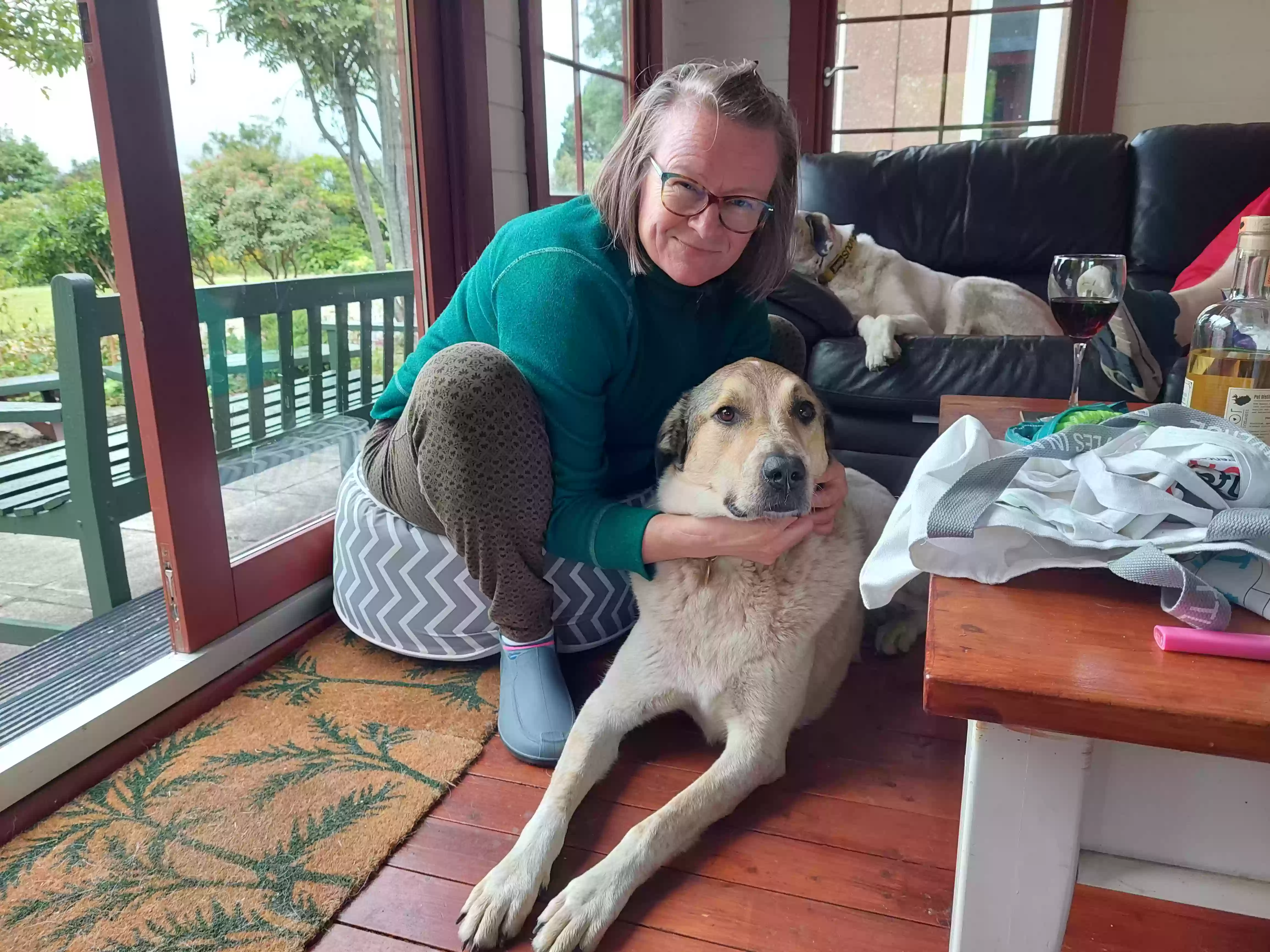adoptable Dog in Glasgow,Scotland named Zoe