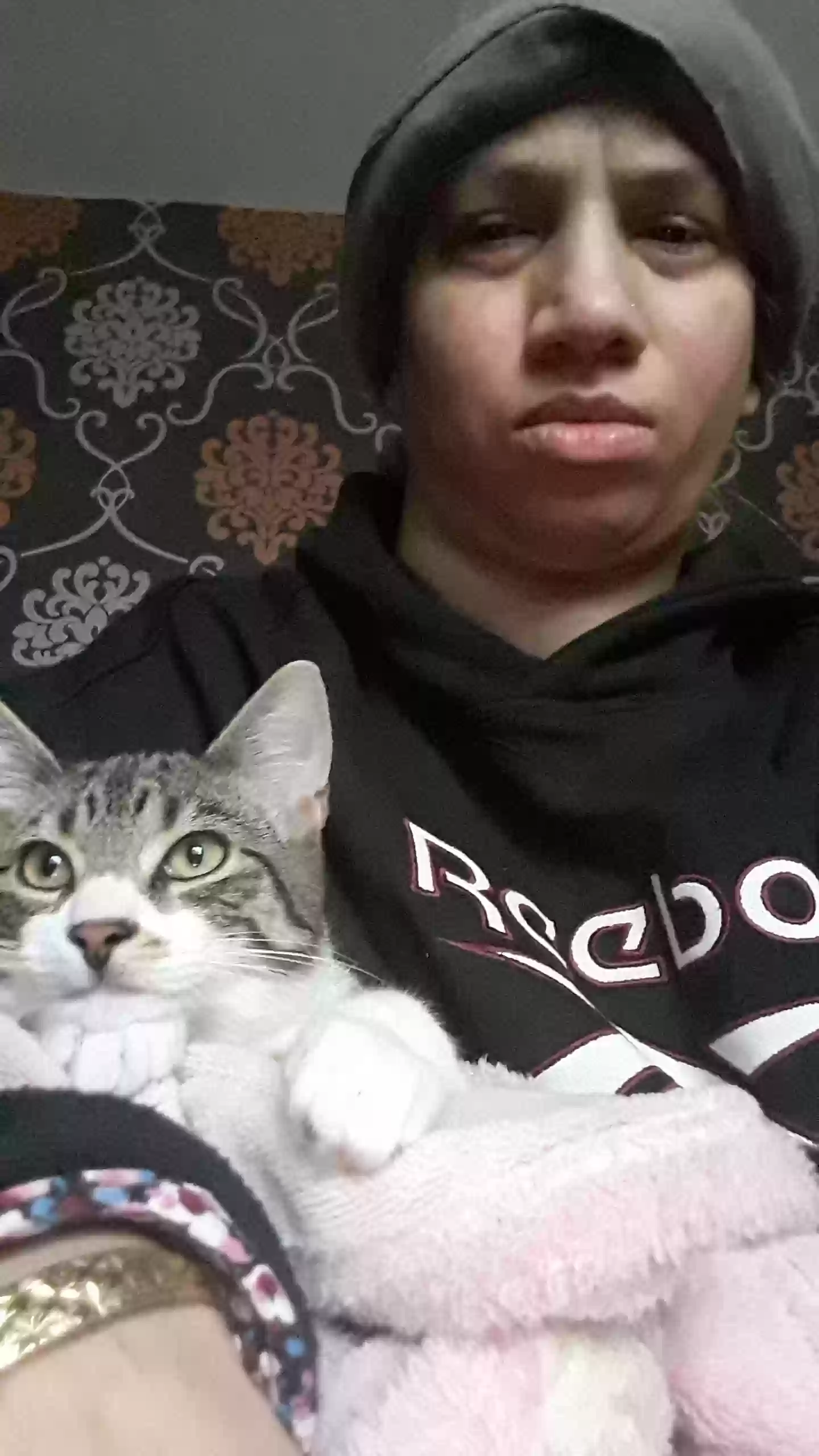 adoptable Cat in Leeds,England named