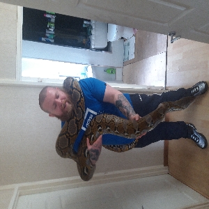 adoptable Reptile in Newcastle Upon Tyne, England named Geordie and annie
