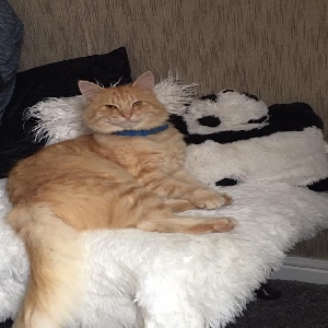 images/pets/original/1348_actual_two.webp