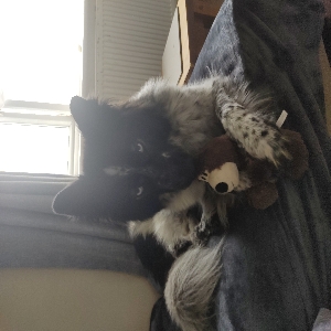 images/pets/original/864_actual_three.webp