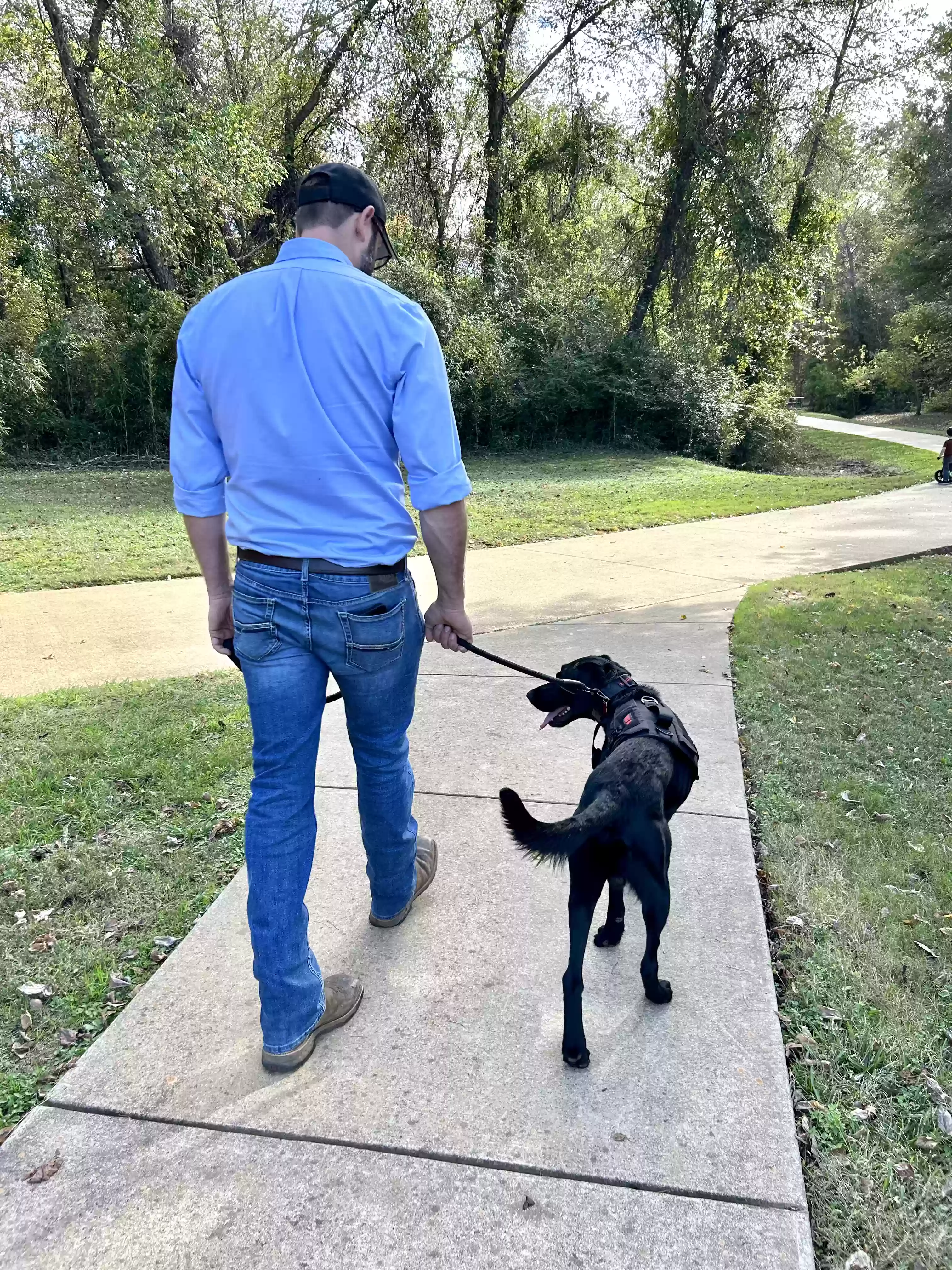 adoptable Dog in Hallsville,TX named Charlie