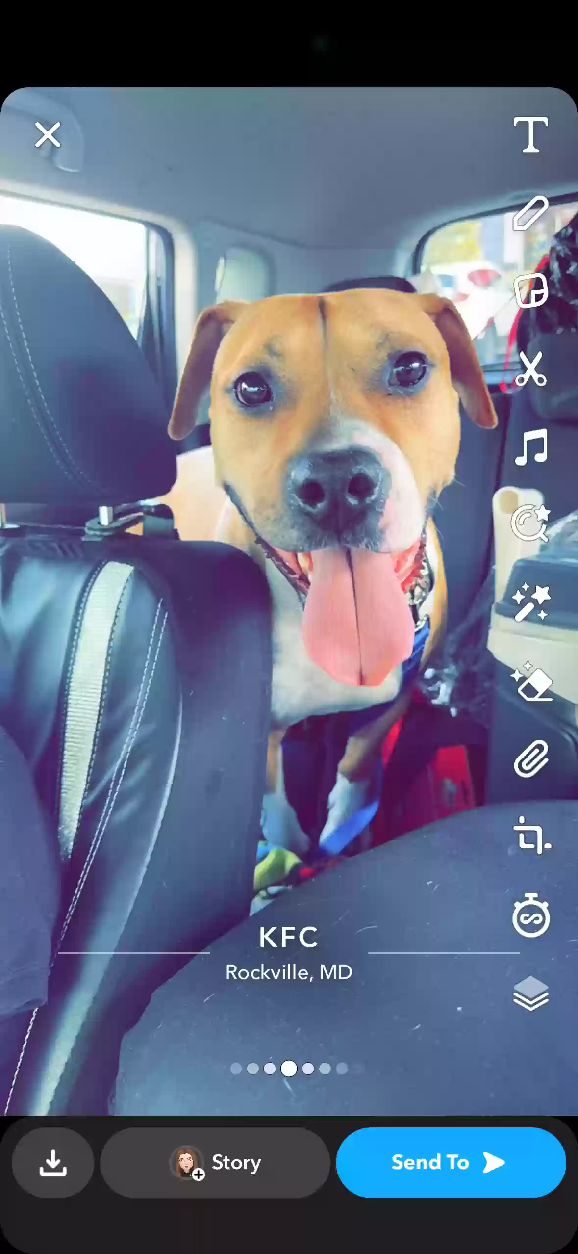 adoptable Dog in Ellijay,GA named Doug