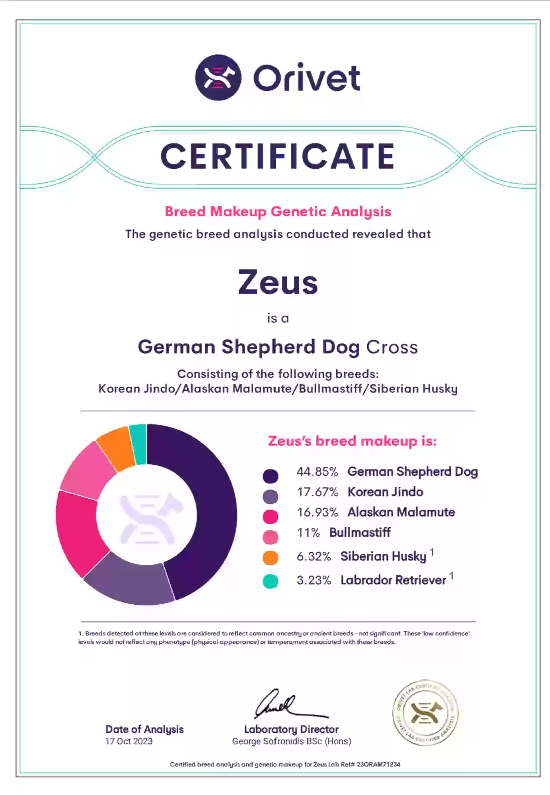 adoptable Dog in Spring,TX named Zeus