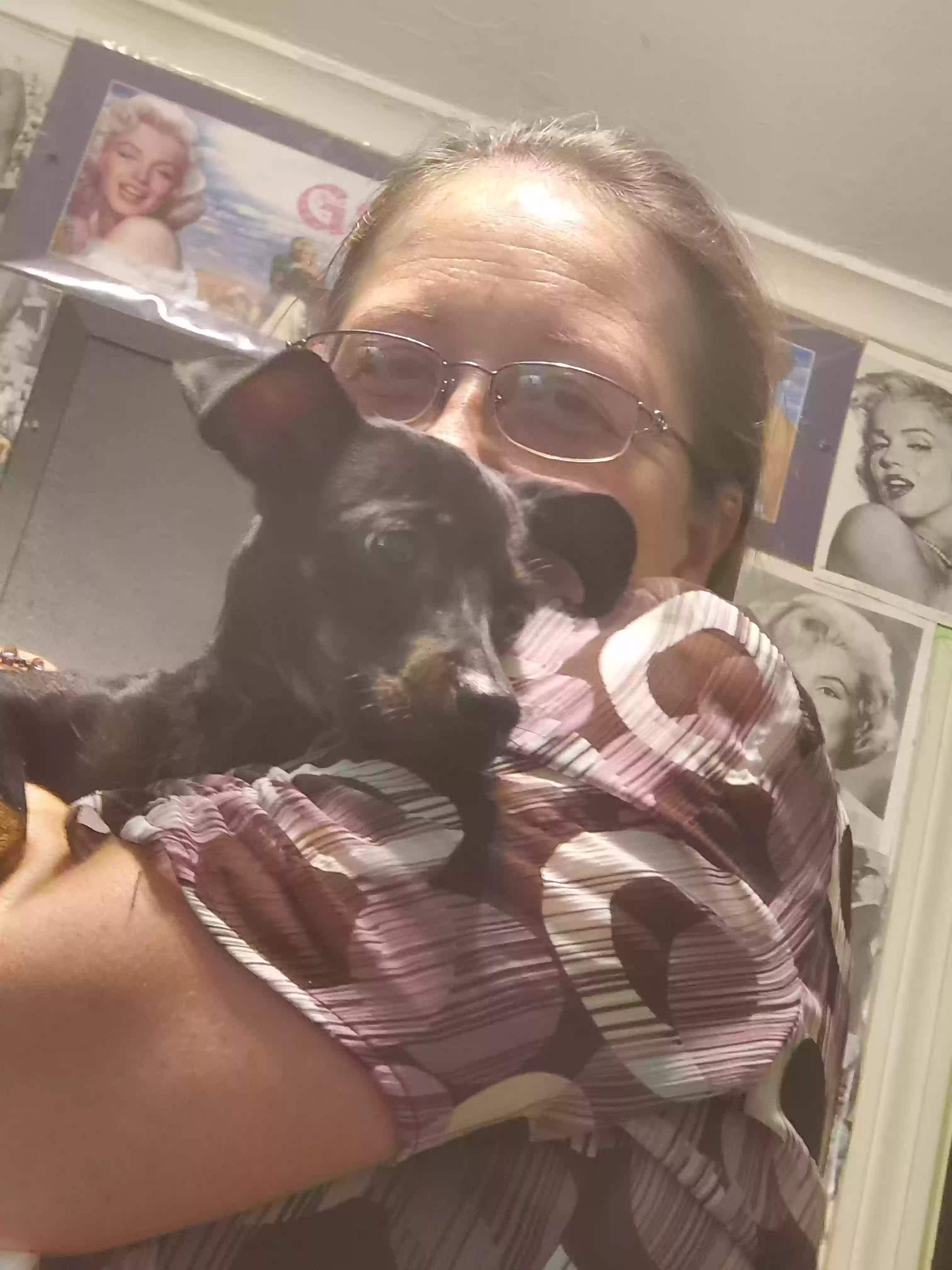 adoptable Dog in Shreveport,LA named Baby girl