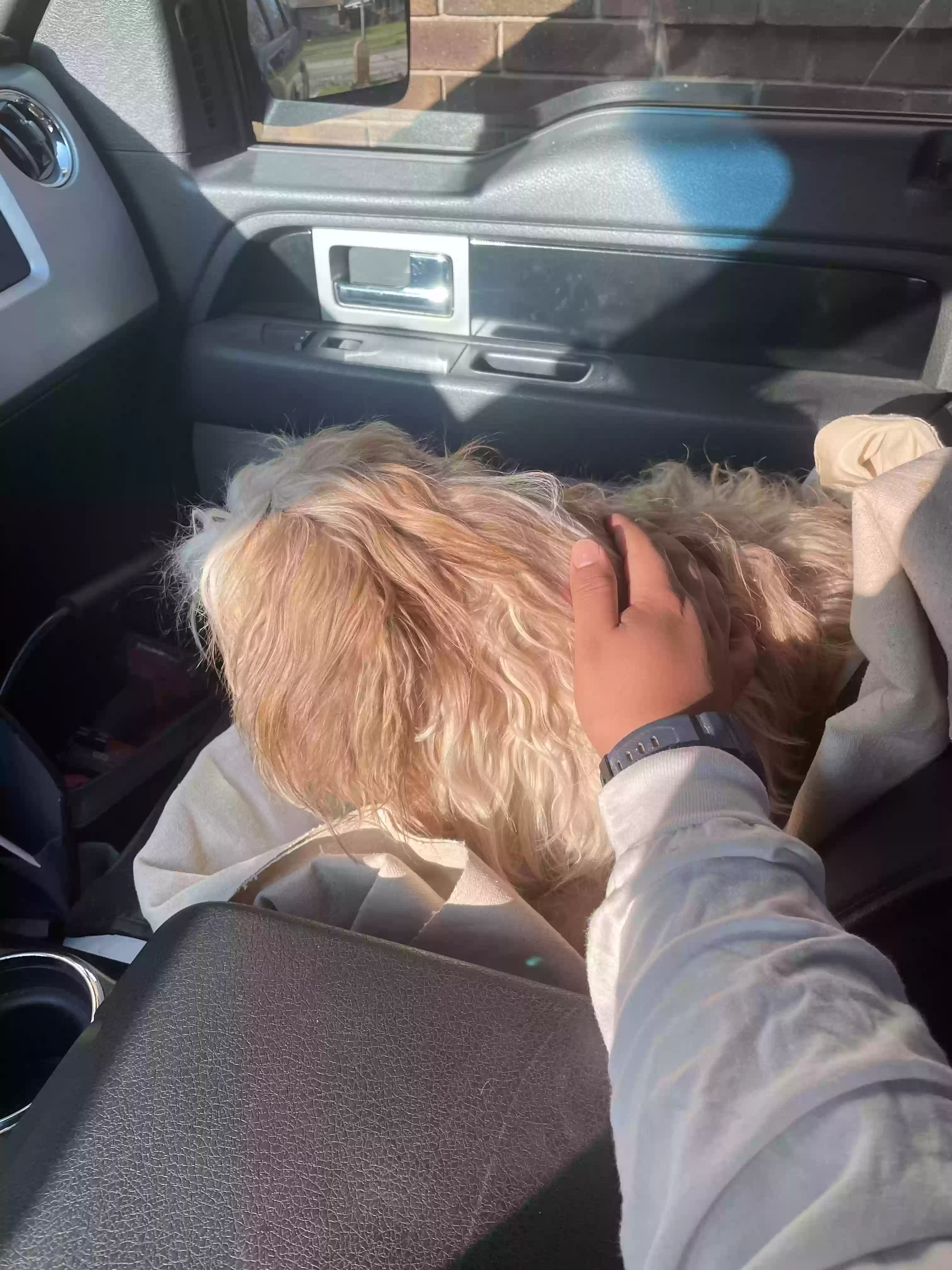adoptable Dog in Bedford,TX named Miru