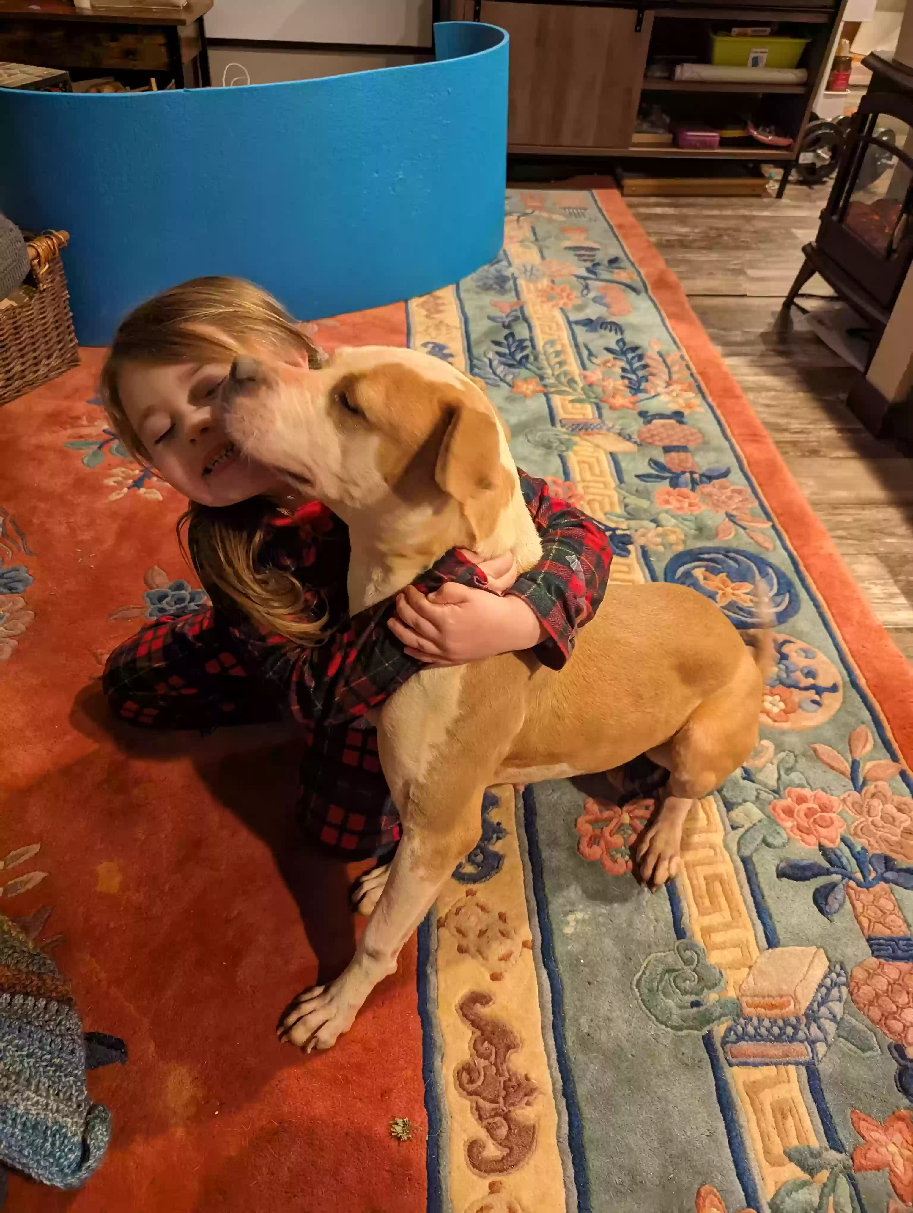 adoptable Dog in Waverly,AL named Daisy 