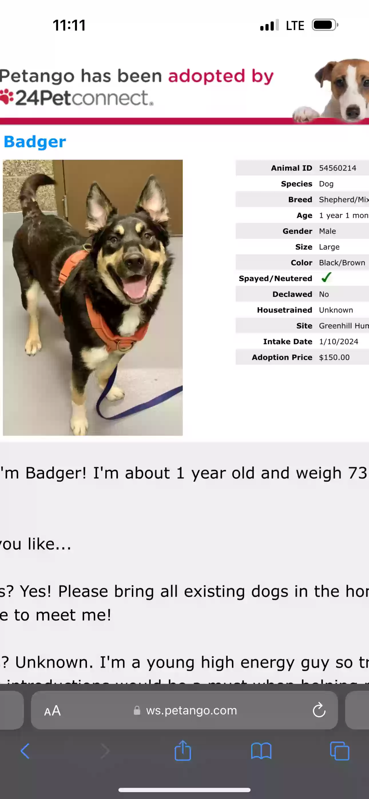 adoptable Dog in Eugene,OR named 