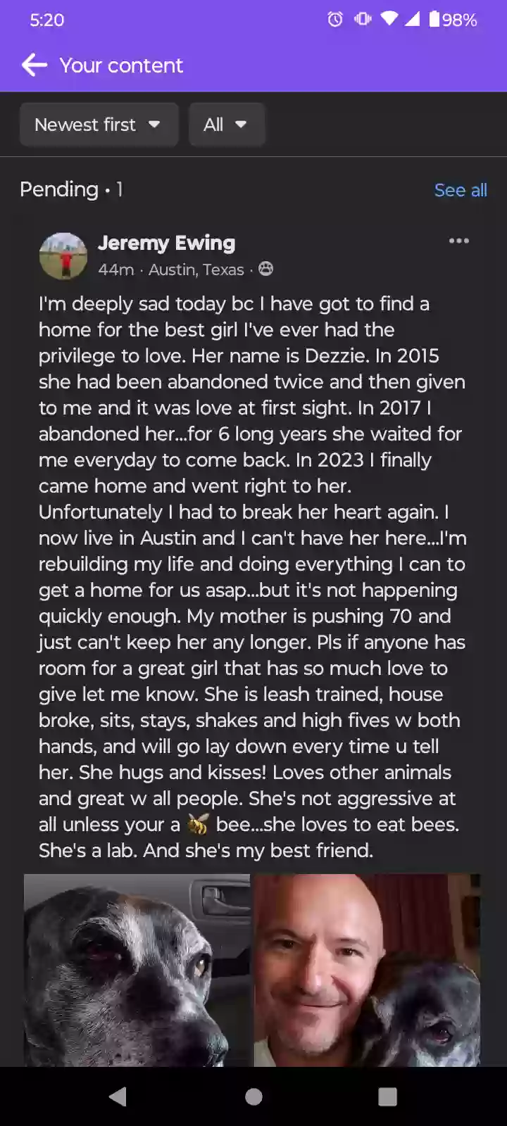 adoptable Dog in Austin,TX named Dezzie