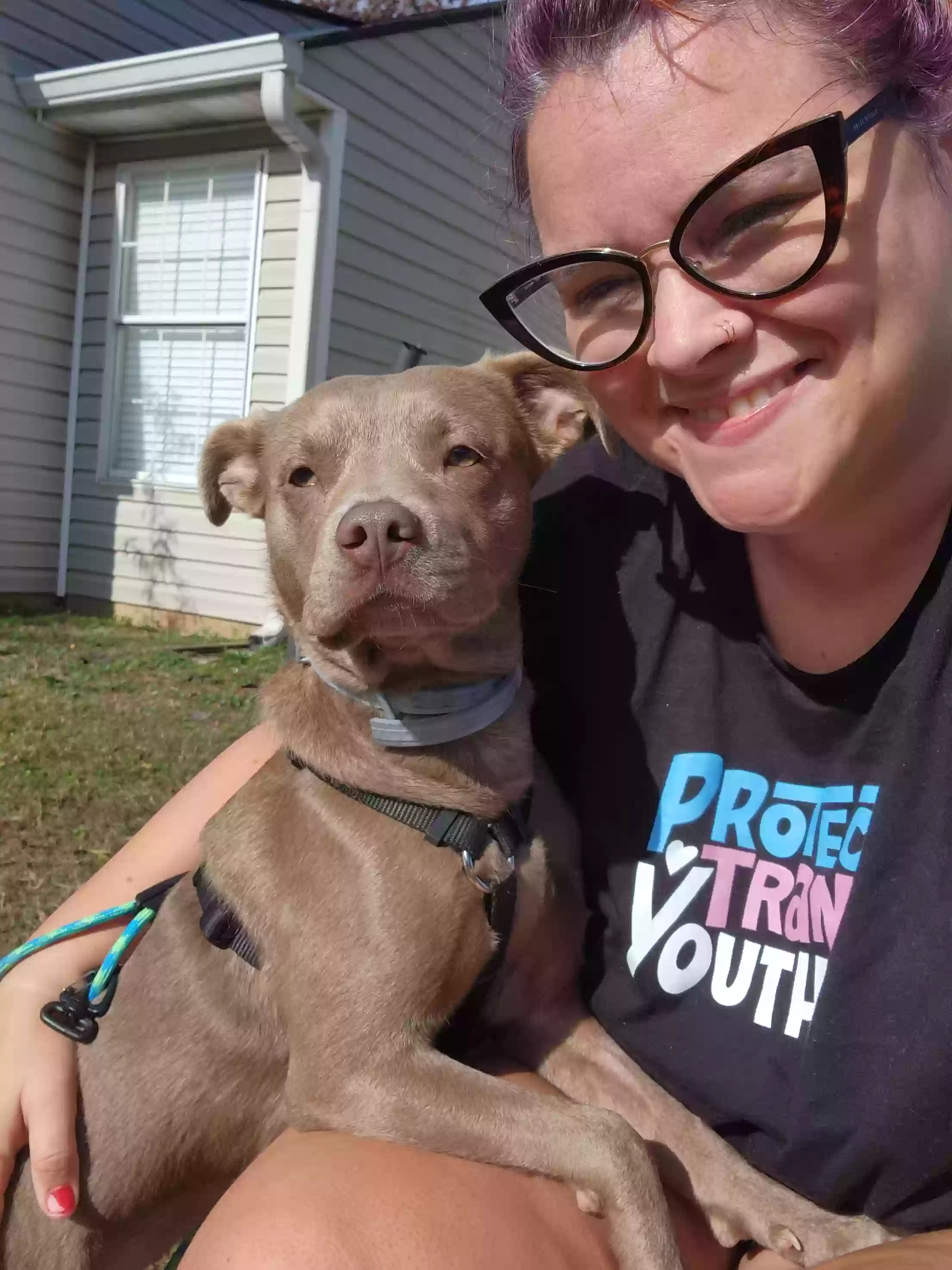 adoptable Dog in Douglasville,GA named Sugar