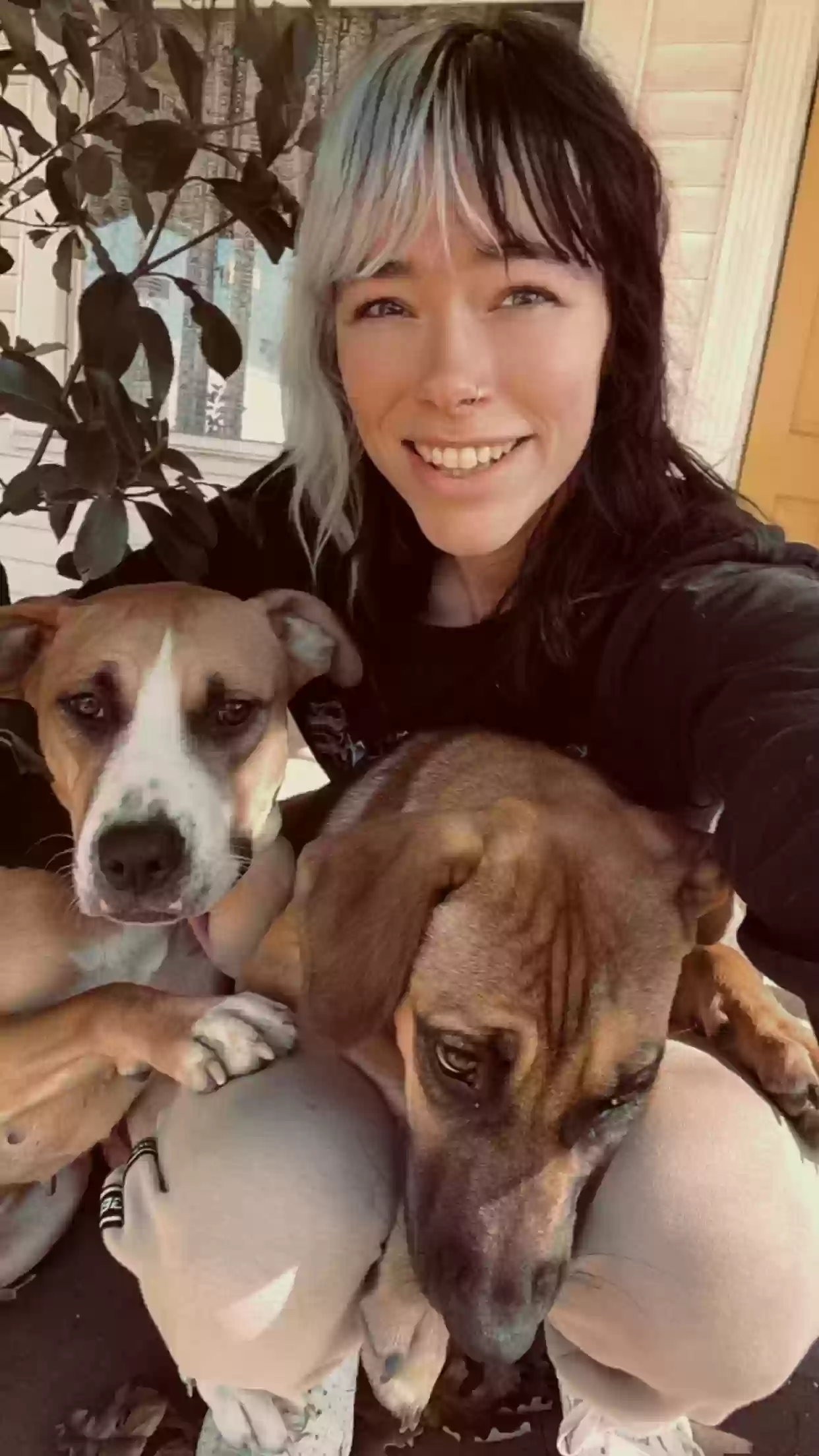adoptable Dog in Cleburne,TX named
