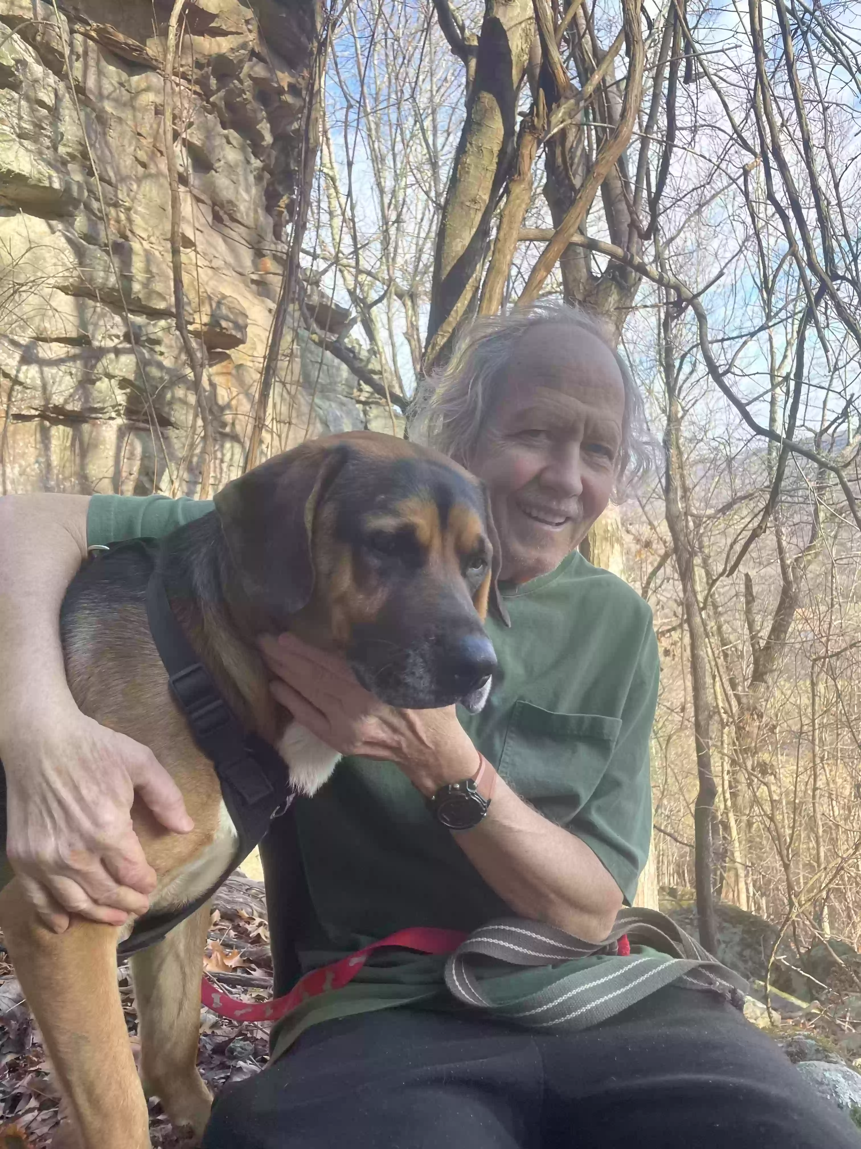 adoptable Dog in Alpena,AR named Scout