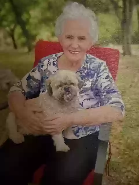 adoptable Dog in Canyon Lake,TX named Punkin