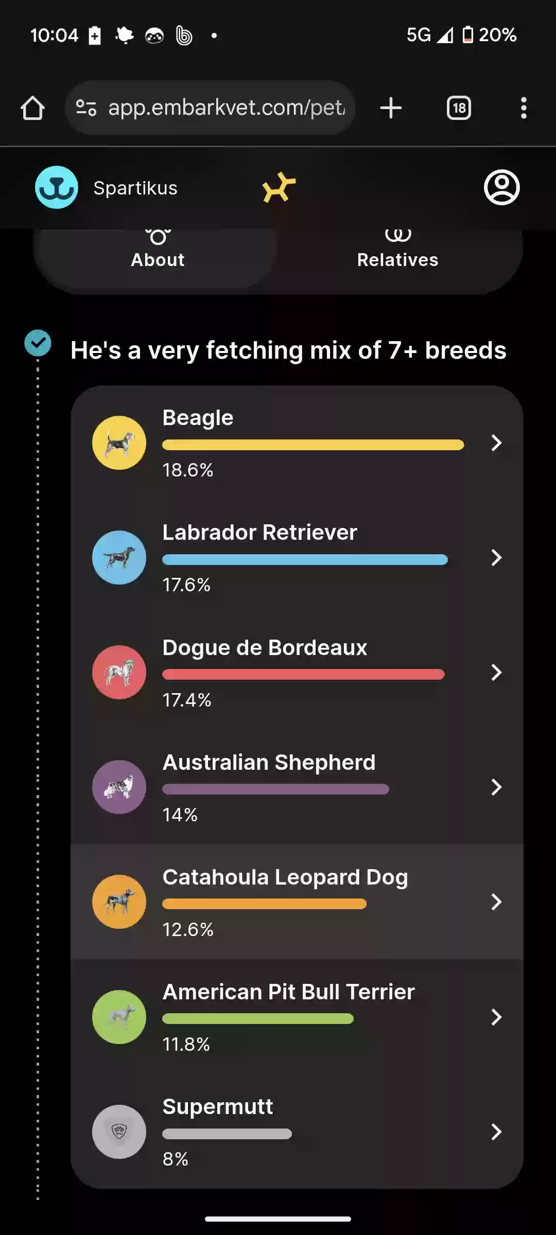 adoptable Dog in Corpus Christi,TX named Sparticus