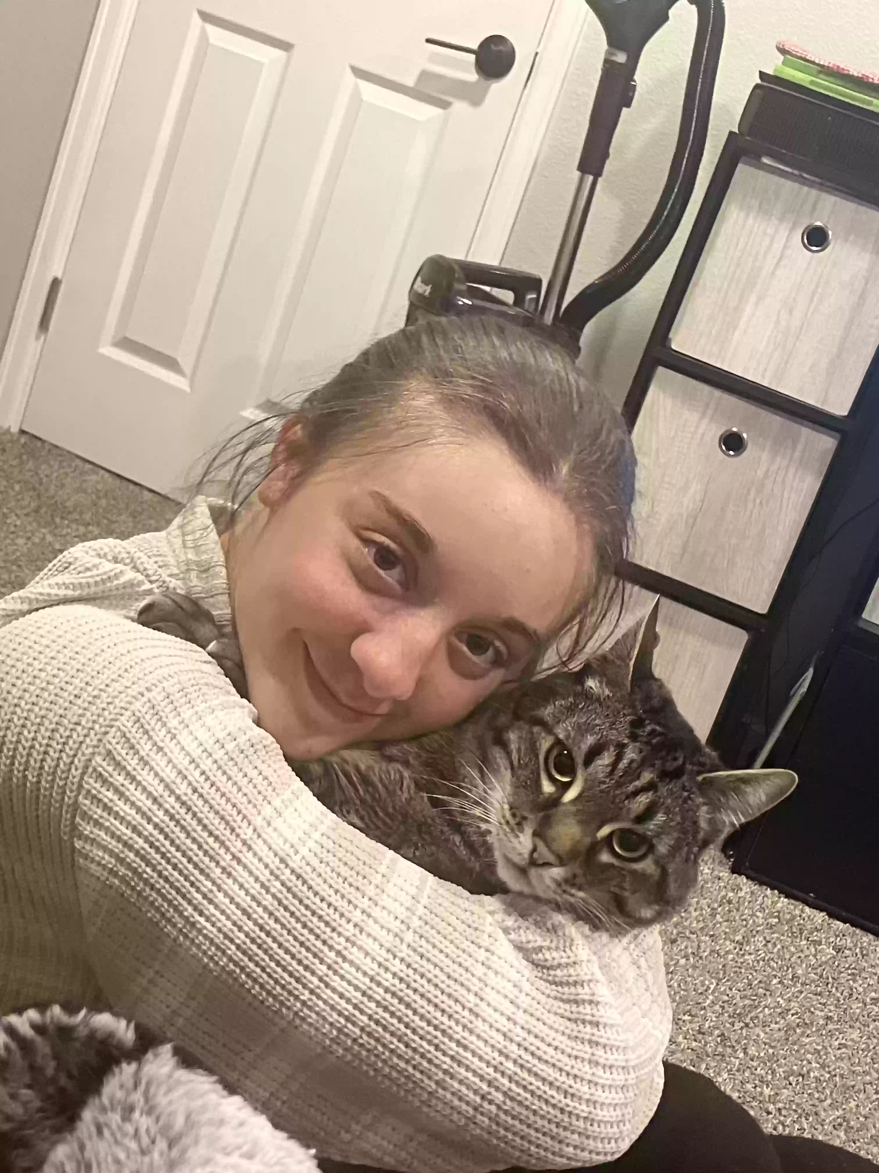 adoptable Cat in Colorado Springs,CO named Simba