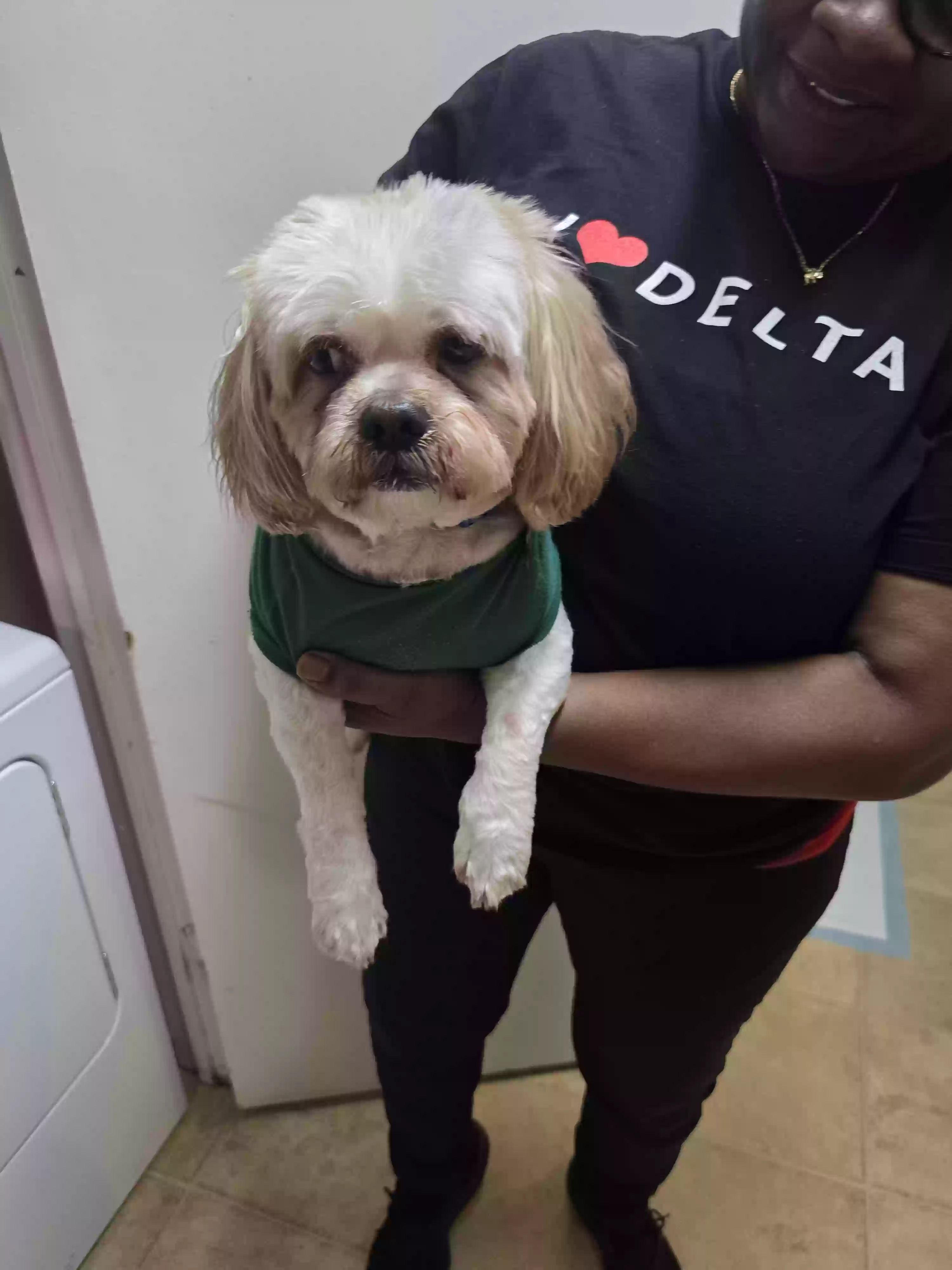 adoptable Dog in Atlanta,GA named Trouble
