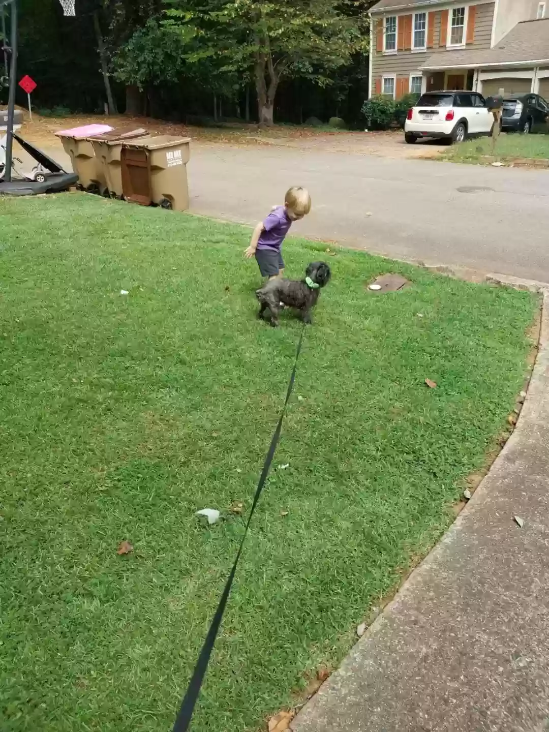adoptable Dog in Alpharetta,GA named Odie