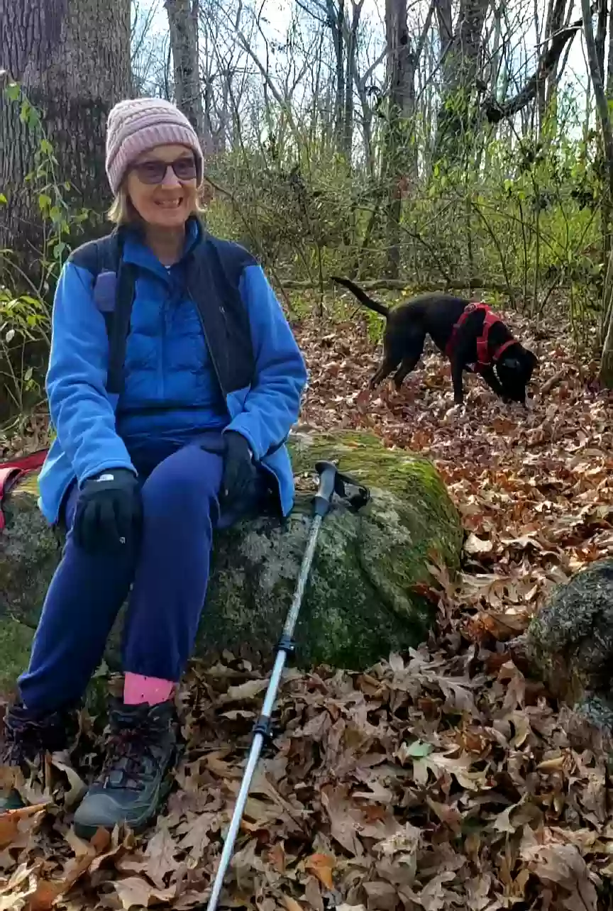 adoptable Dog in Columbia,MD named Cathy