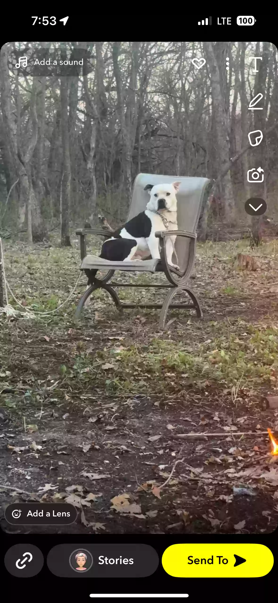 adoptable Dog in Richmond,KS named Bud